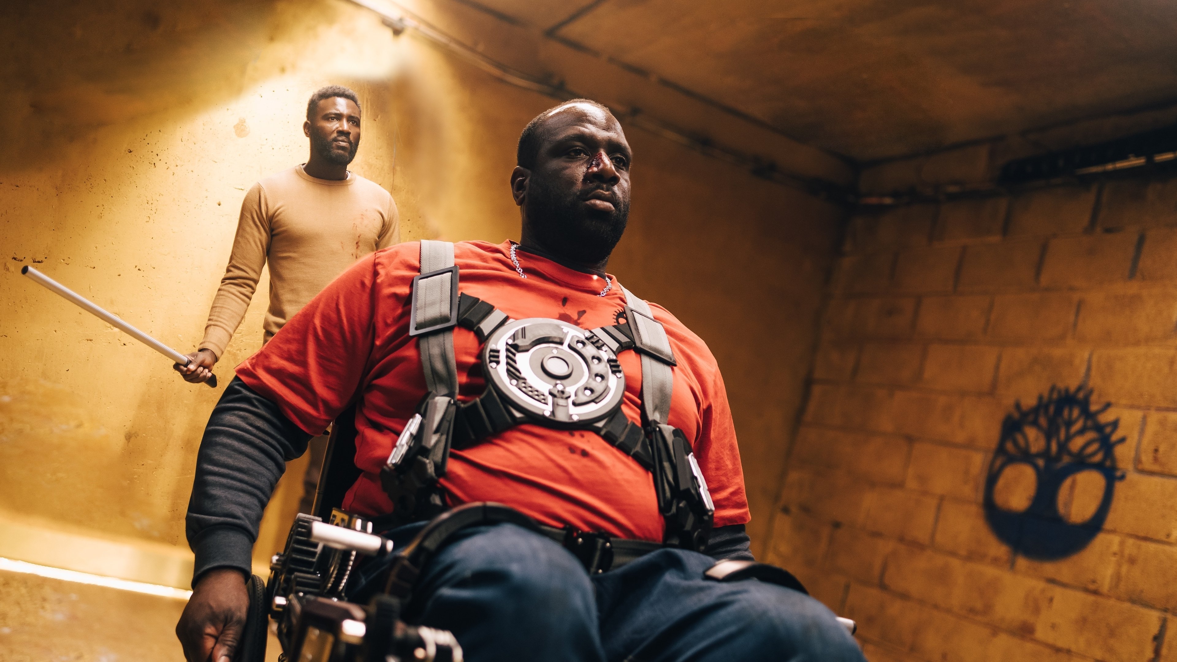 The Gravity Background