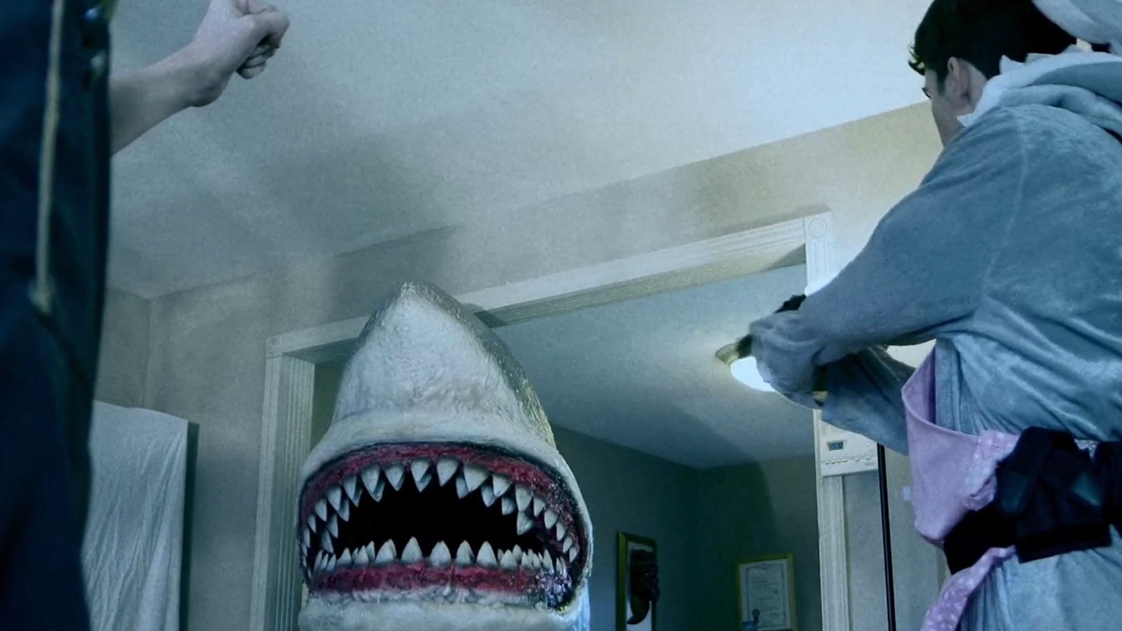 House Shark Background