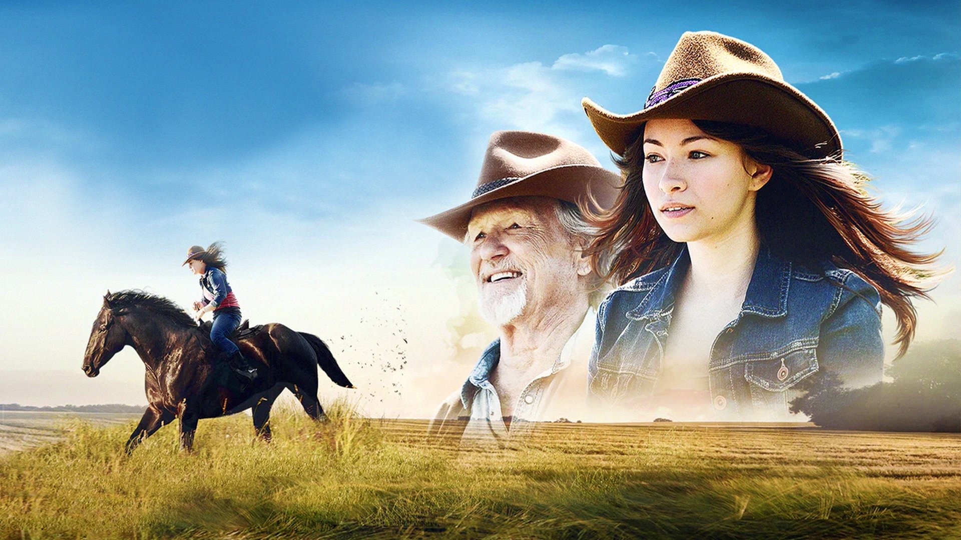 Midnight Stallion Background