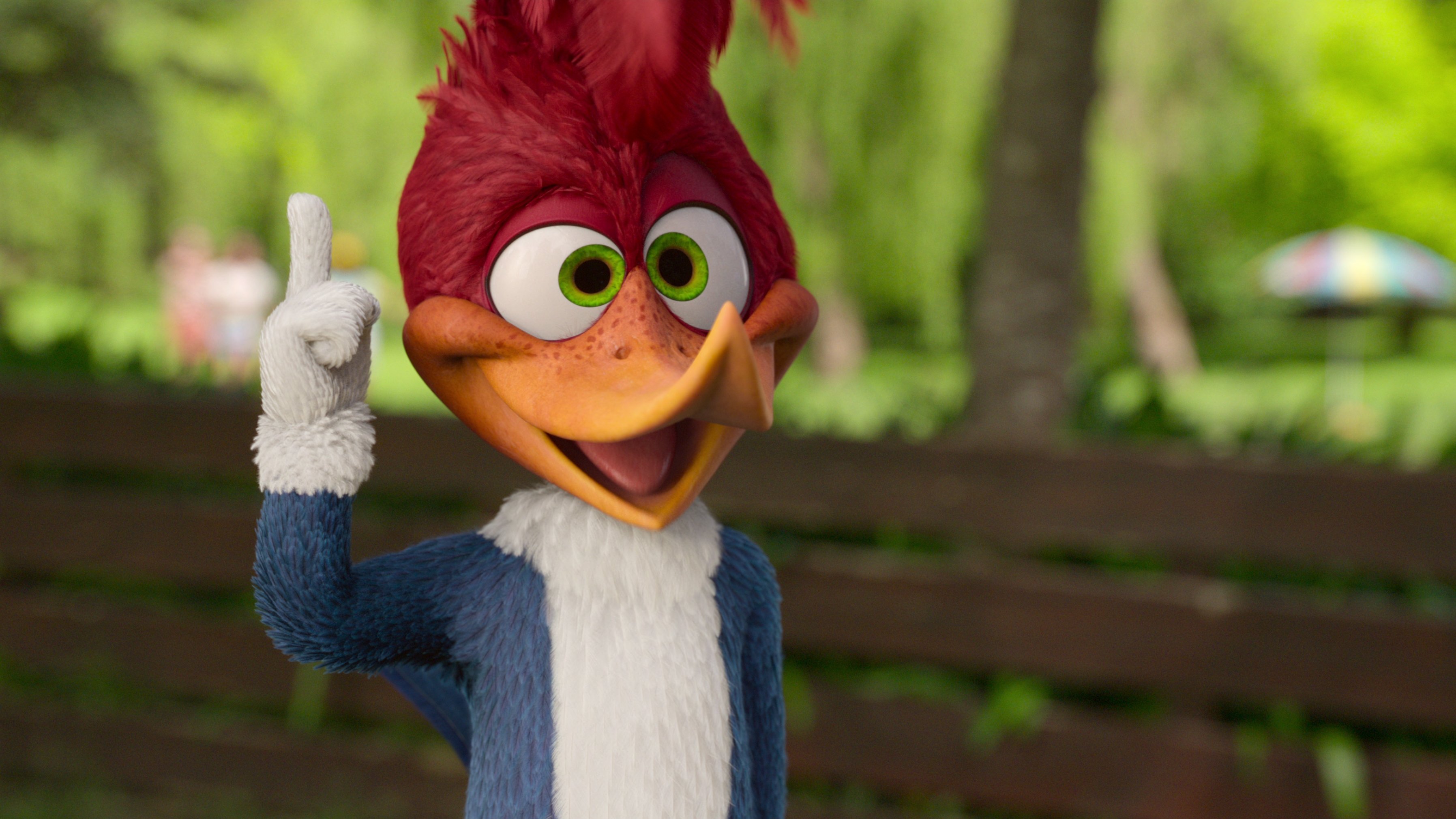 Woody Woodpecker Goes to Camp Background