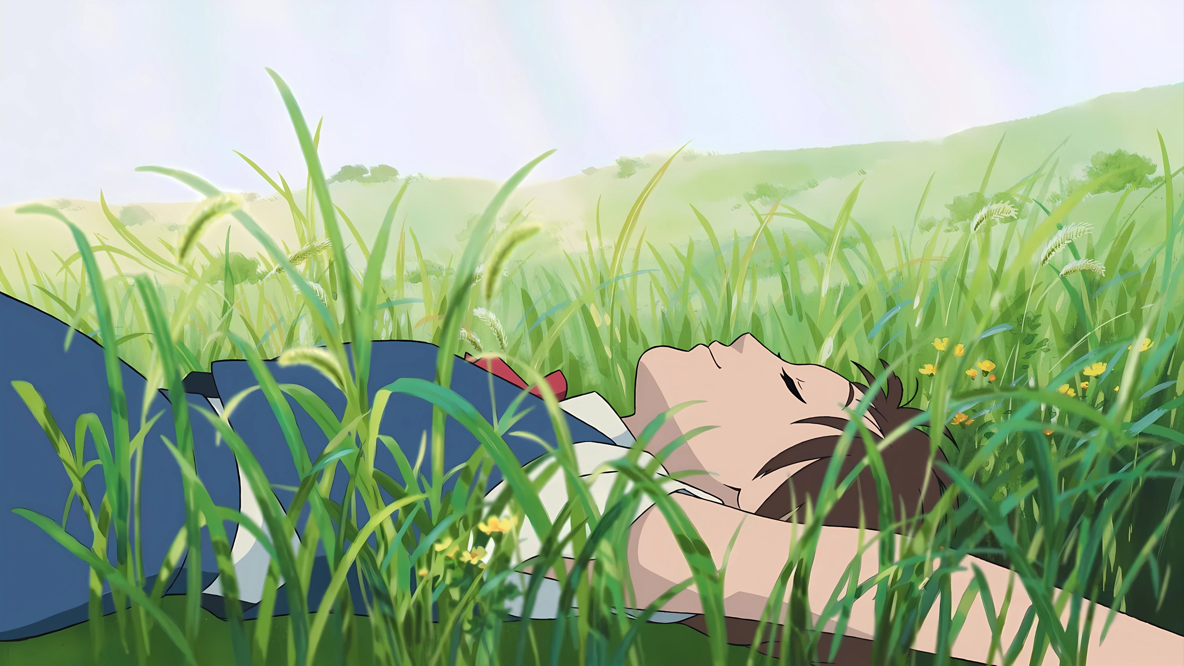 The Cat Returns Background