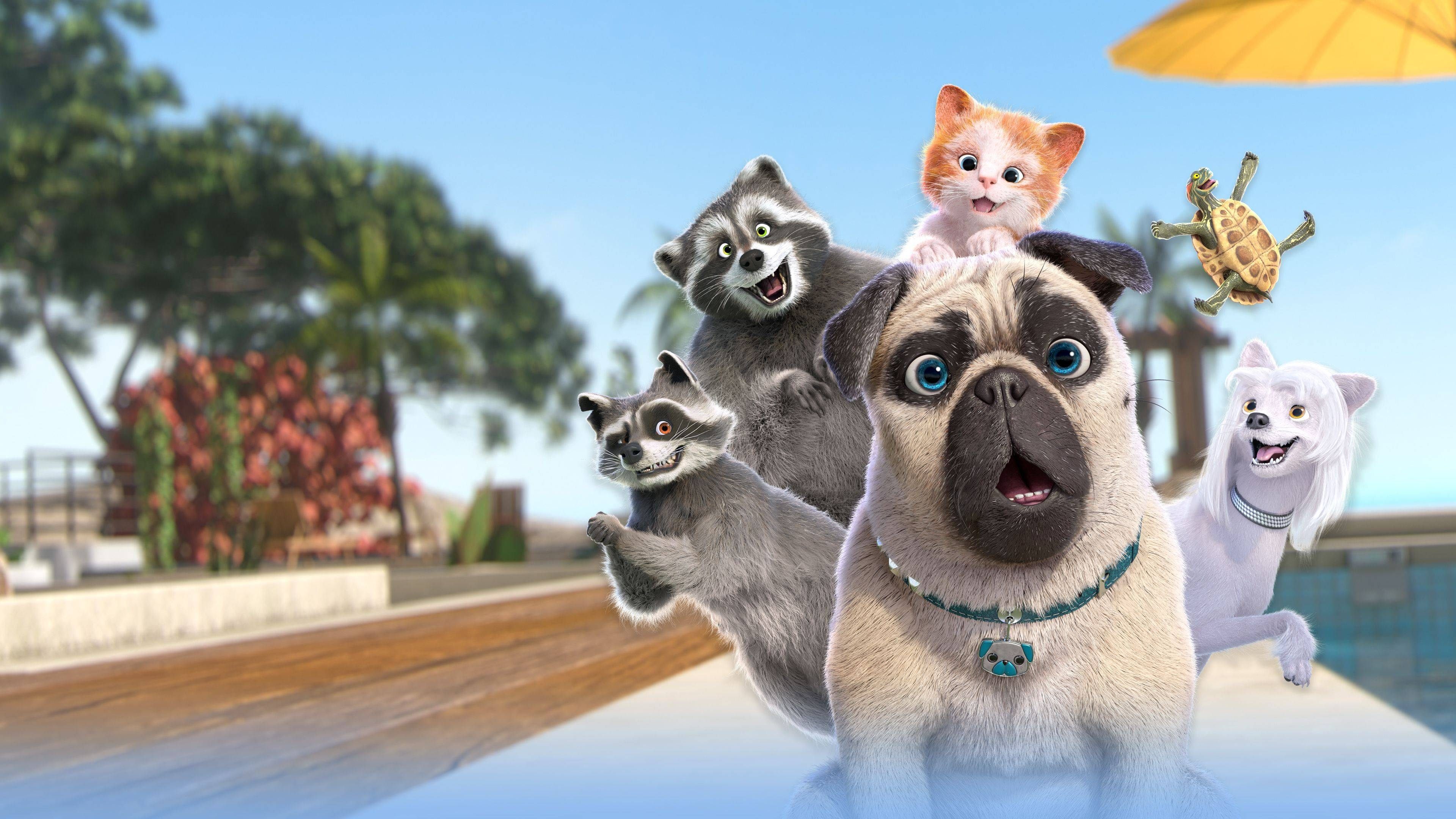 Mighty Mike Background