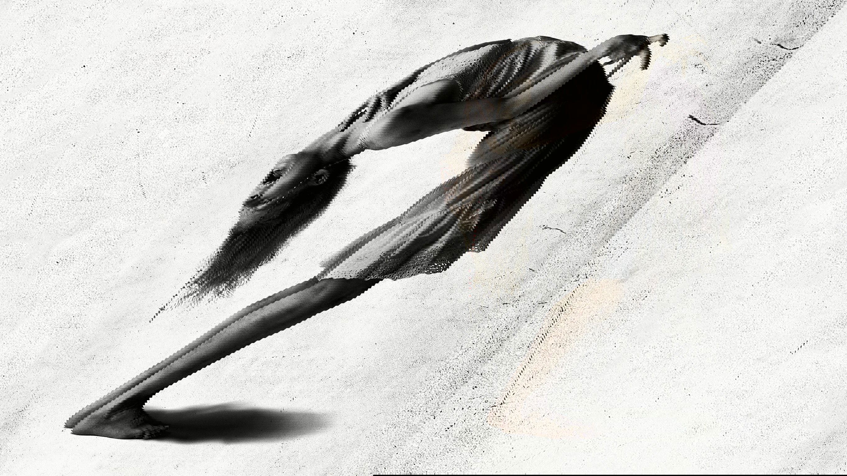 The Last Exorcism Part II Background