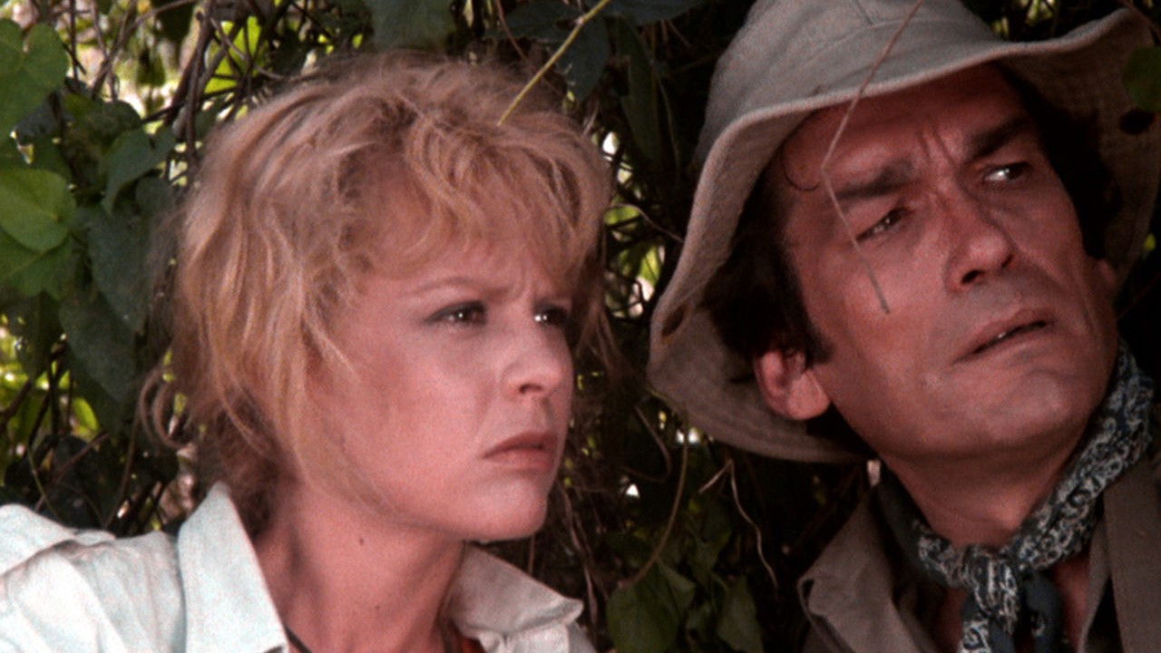 Wild Team Background