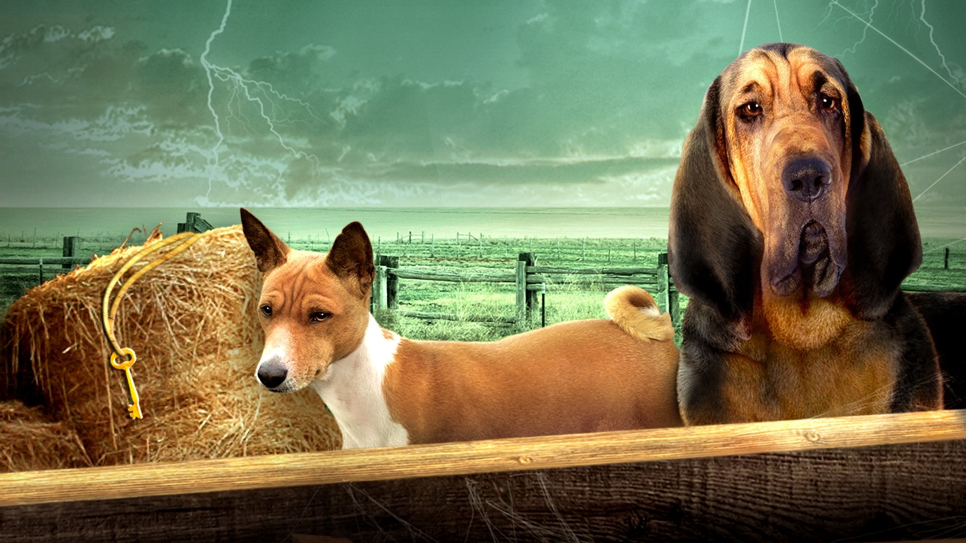 Trooper and the Legend of the Golden Key Background