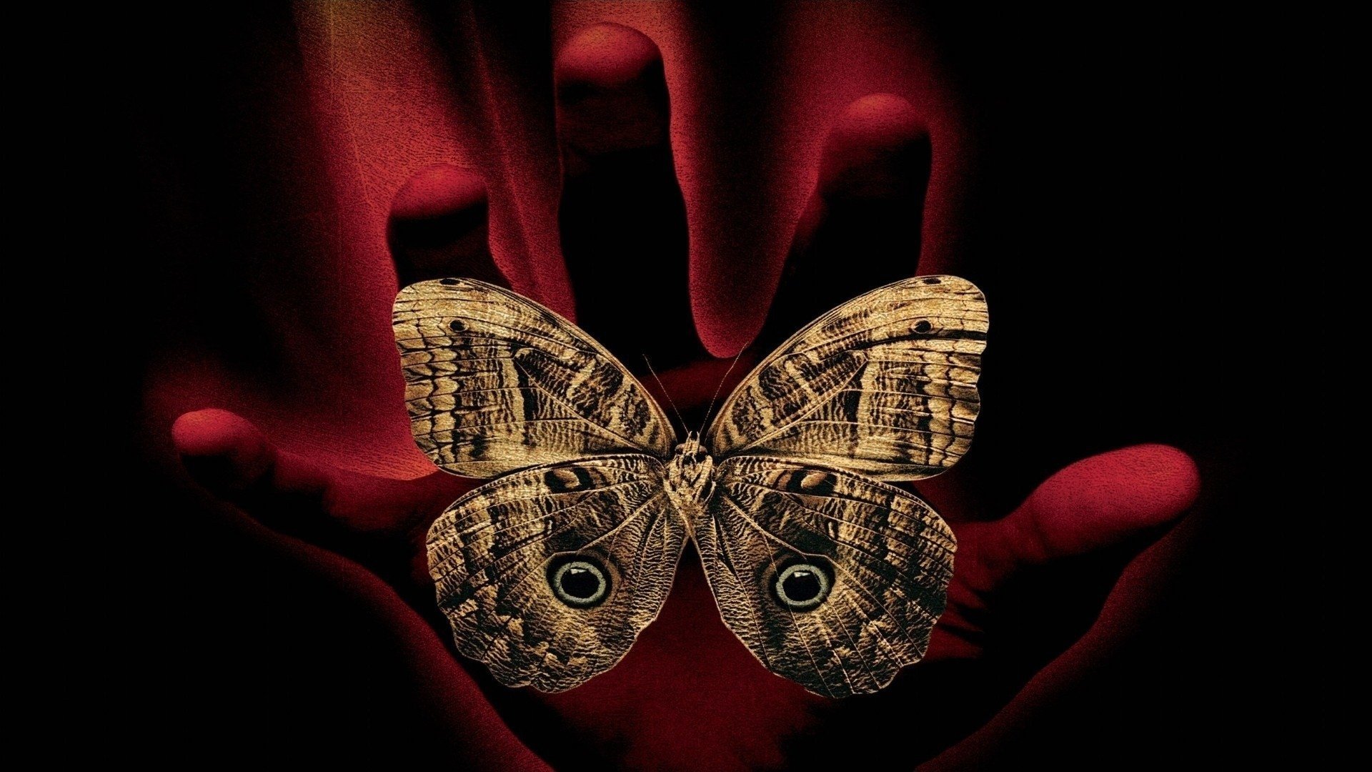 A Sound of Thunder Background