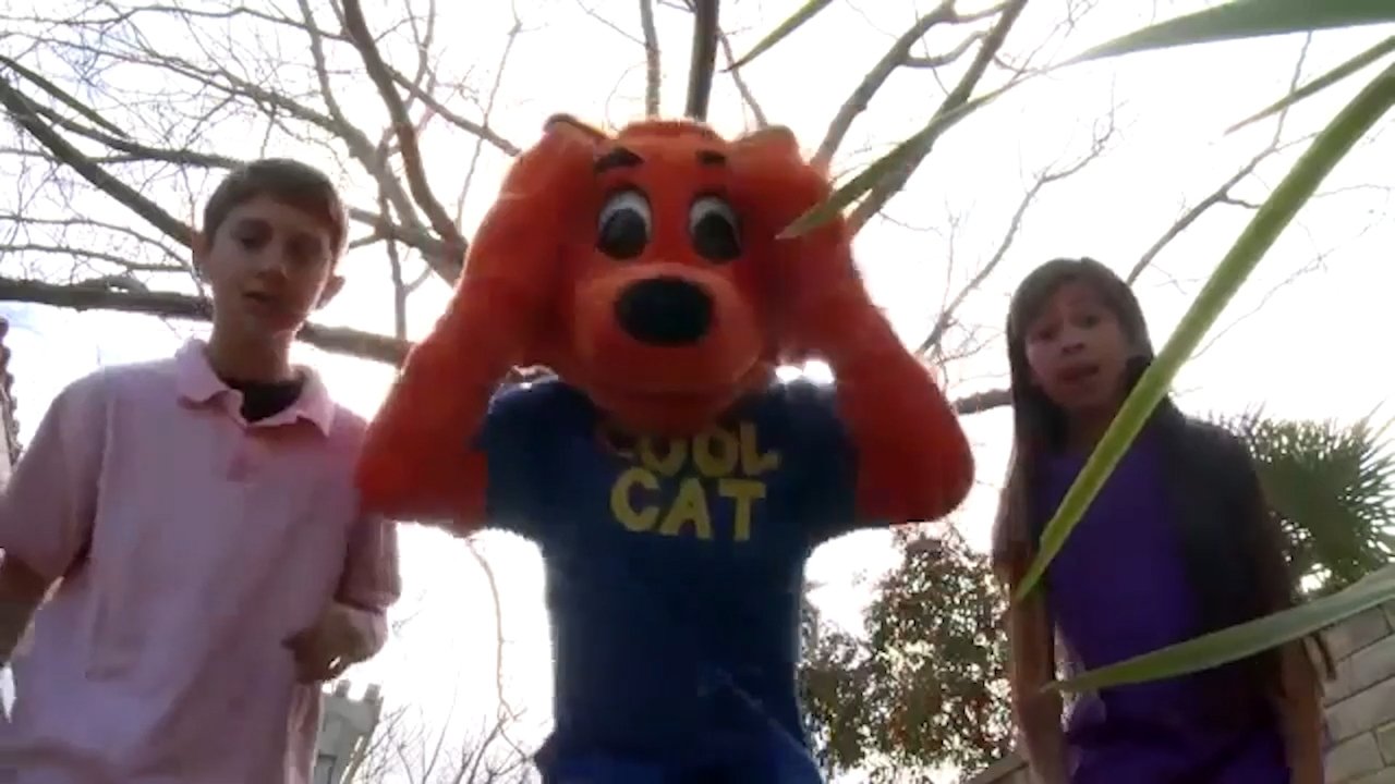 Cool Cat Finds a Gun Background