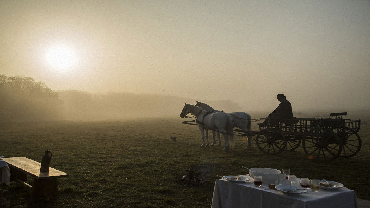 A fekete bojtár Background