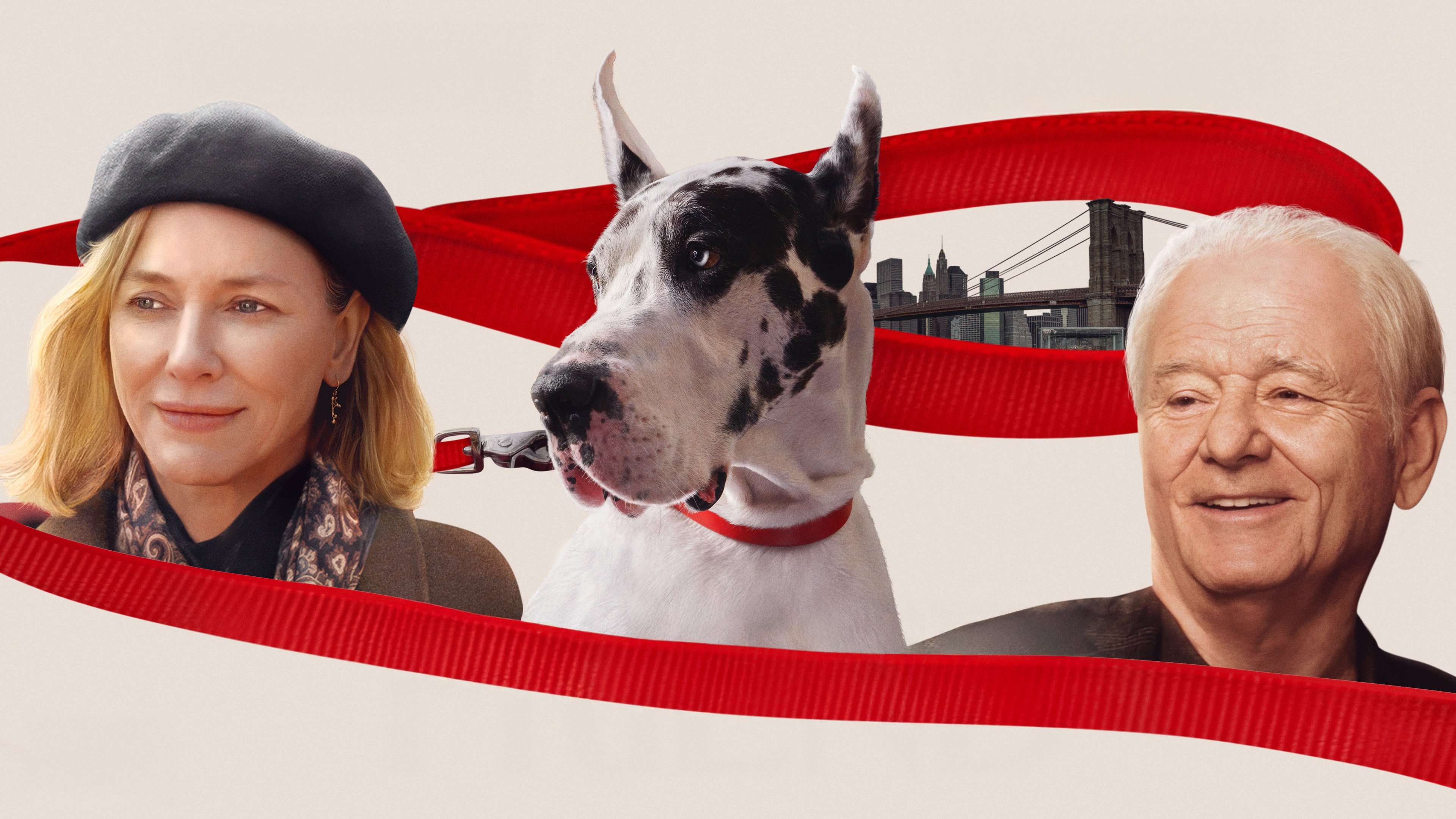 The Friend Background