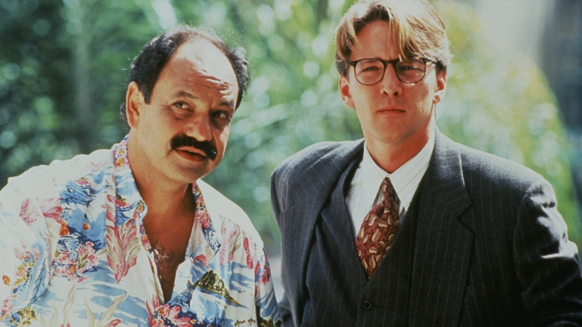 The Courtyard Background