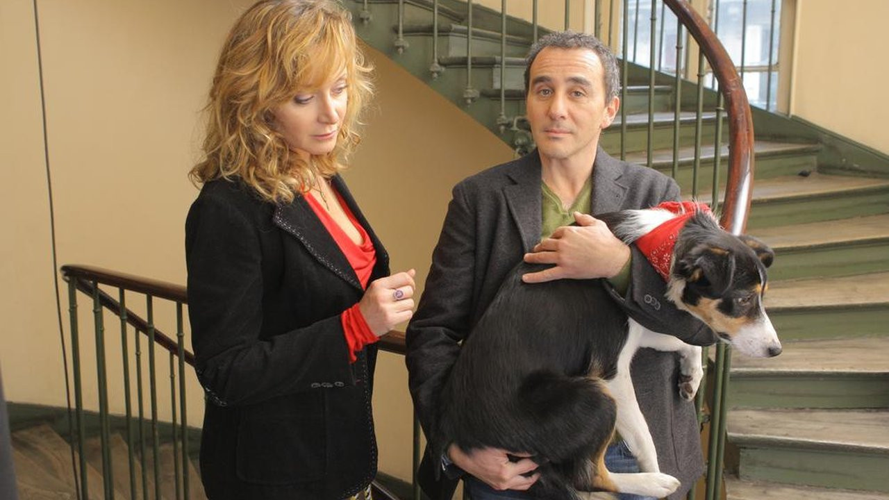 Un divorce de chien Background