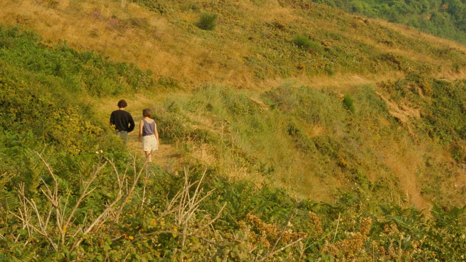 A Summer's Tale Background