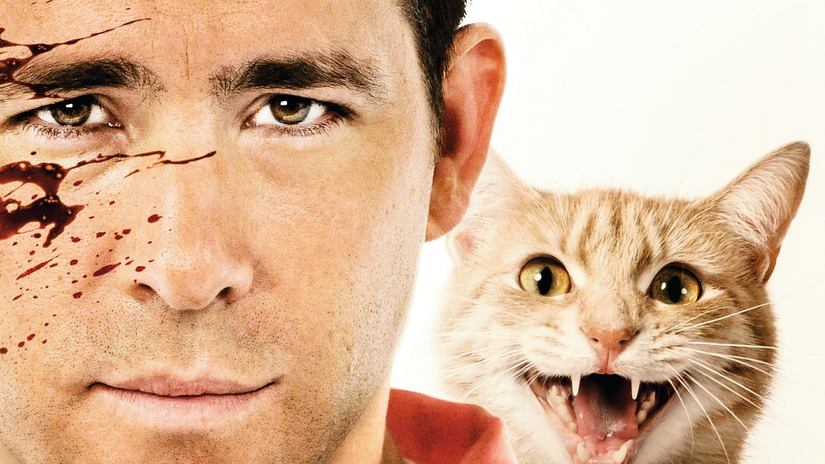 The Voices Background