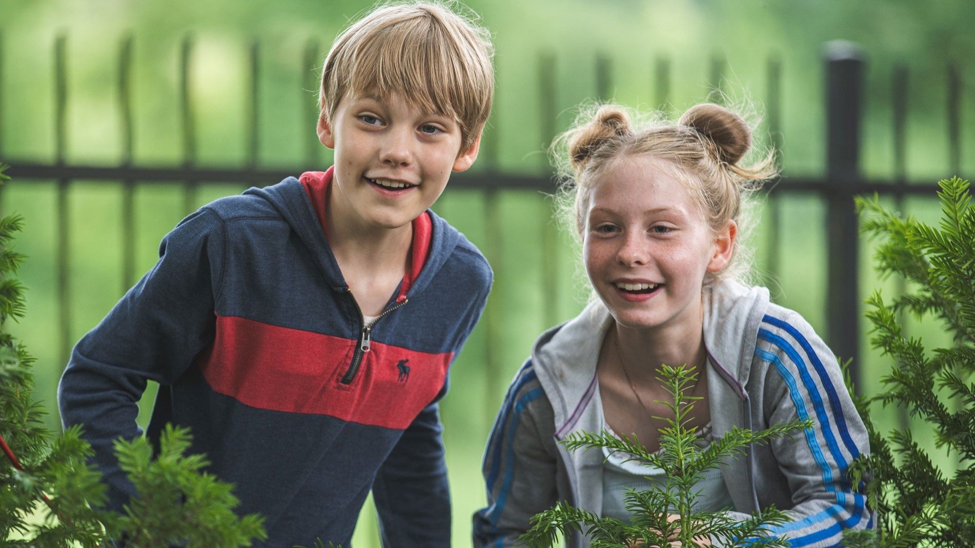 Max and the Senior Squad Background