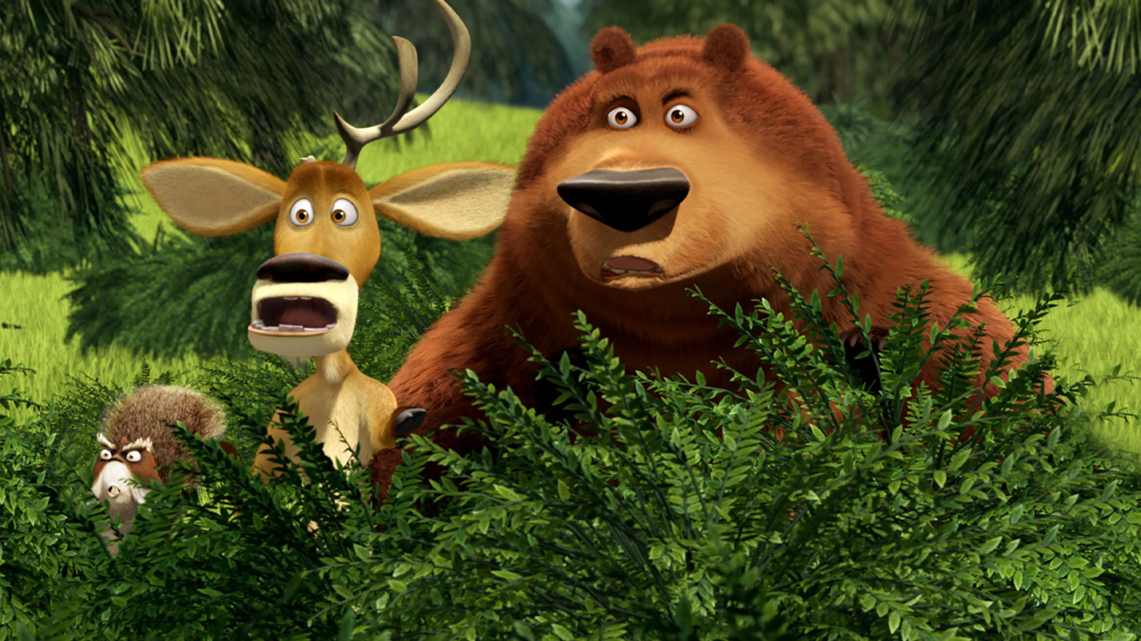 Open Season 2 Background