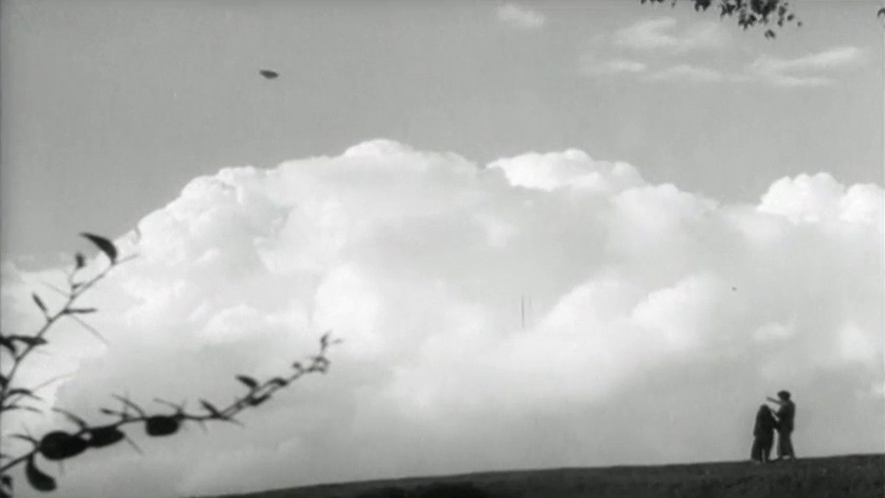 The Passerine Bird Background