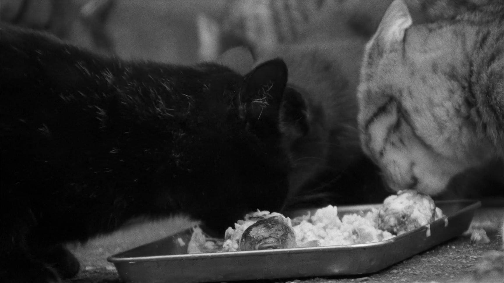 Inland Sea Background