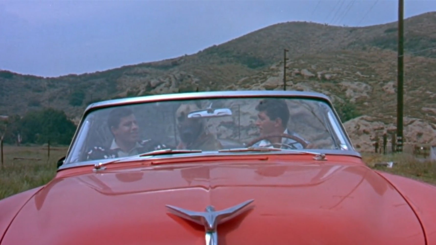 Hollywood or Bust Background