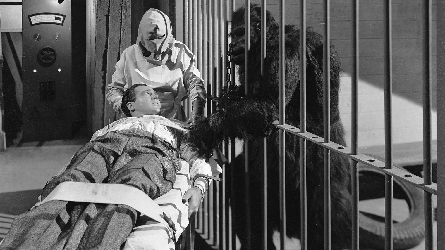 The Strange Case of Doctor Rx Background