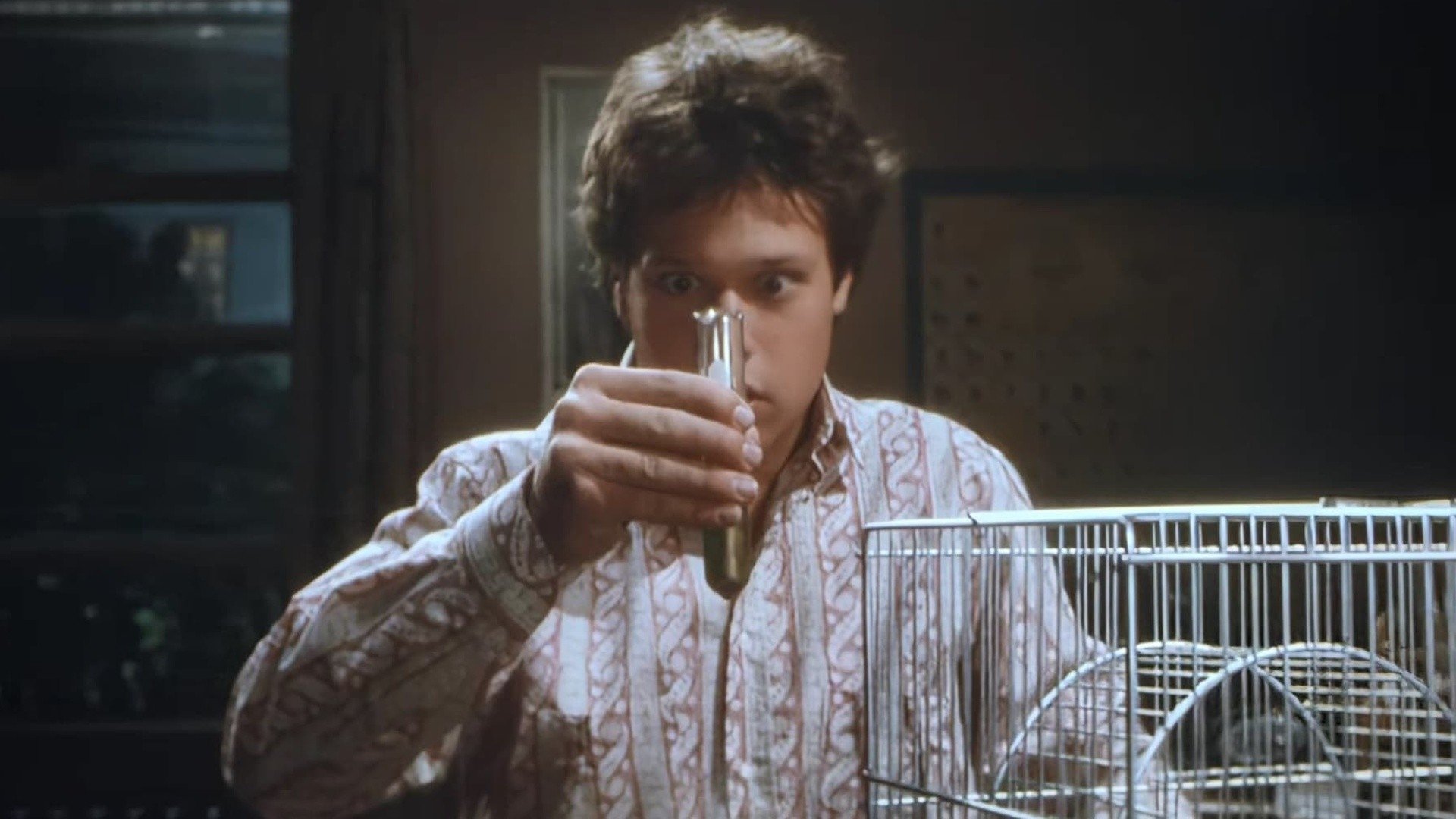 The Invisible Kid Background