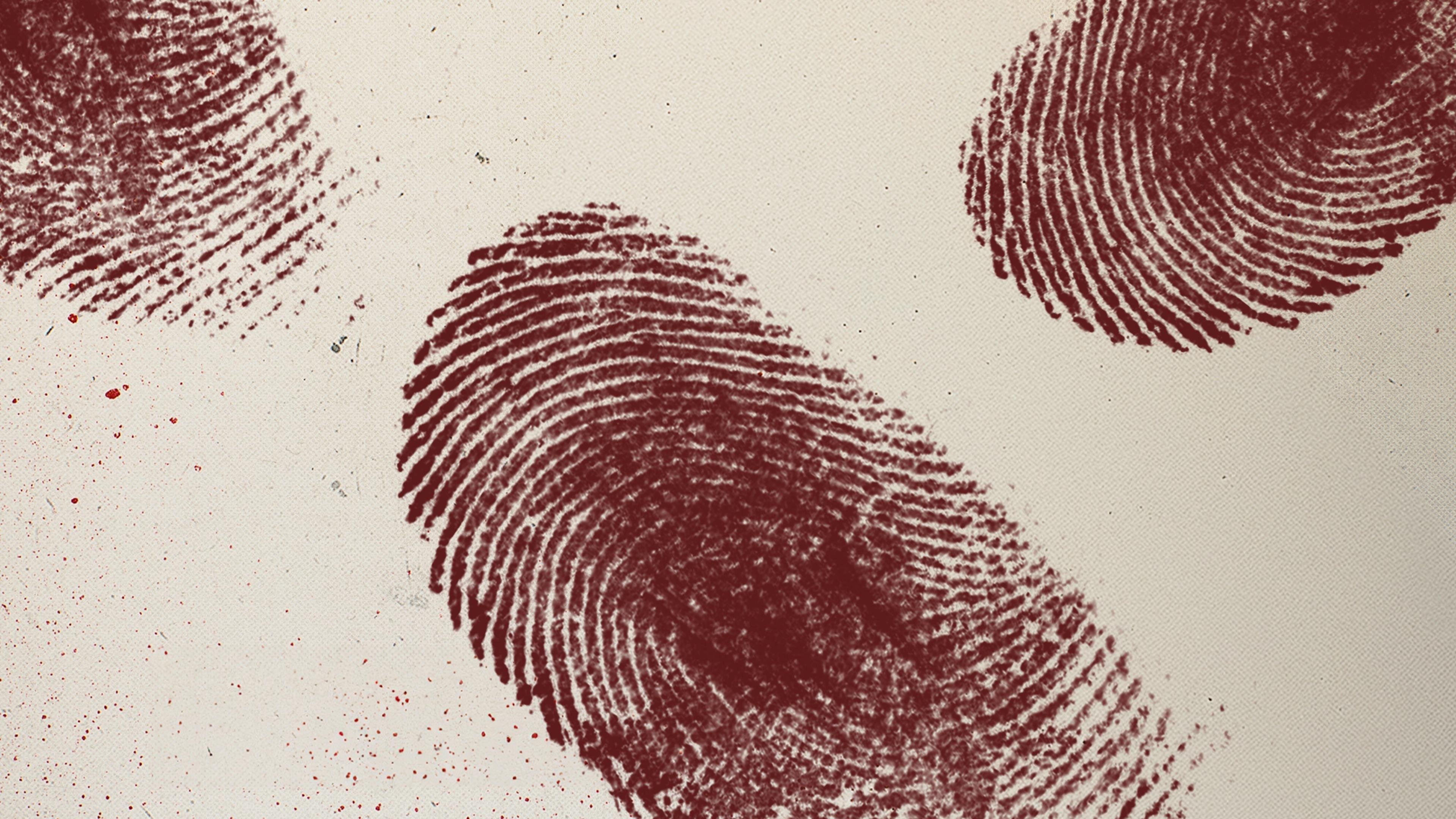 True Crime Belgium Background