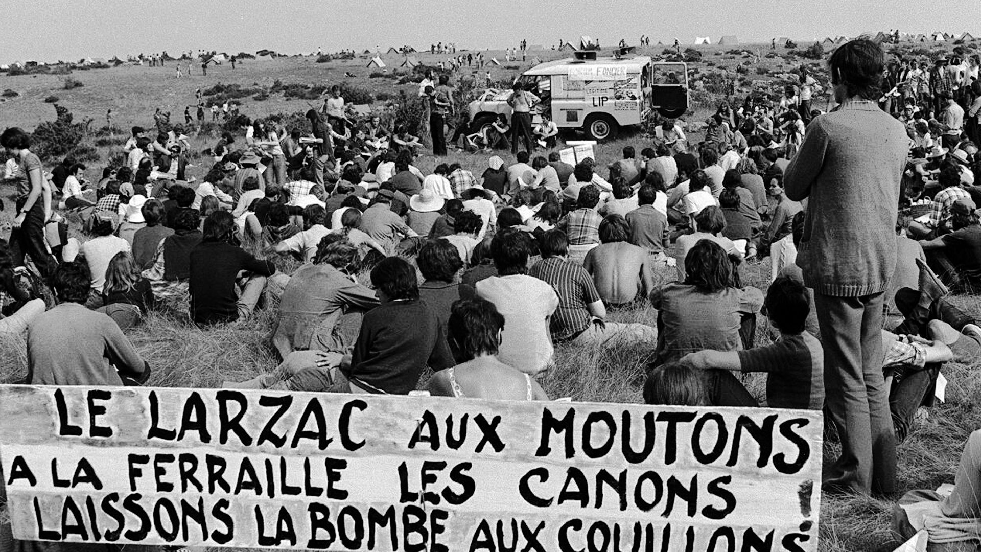 Leader-Sheep Background