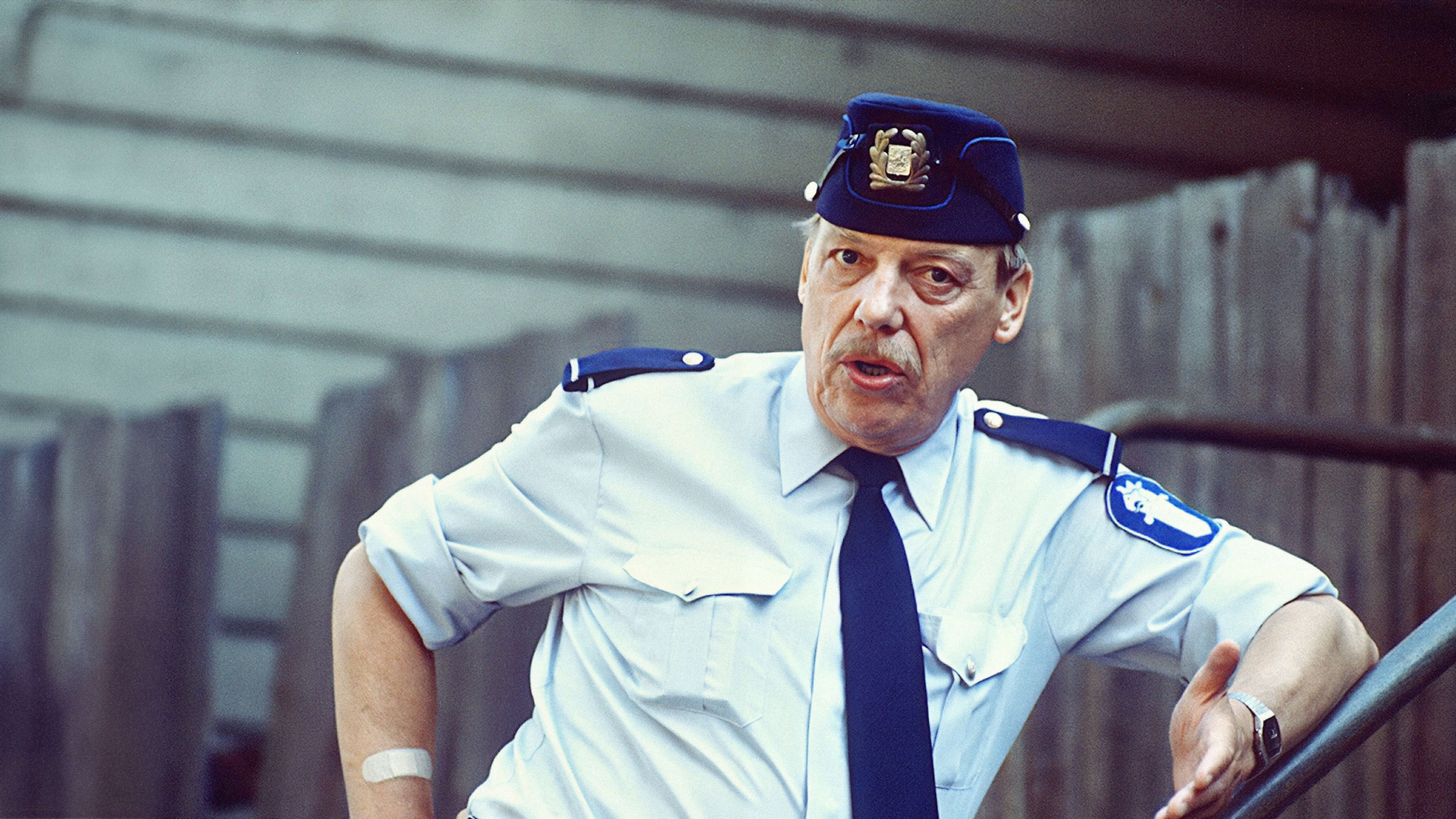 Reinikainen Background