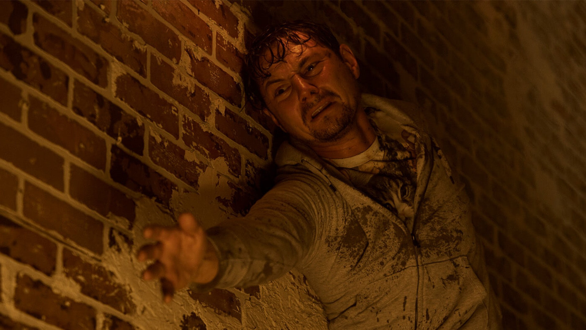 Dear David Background