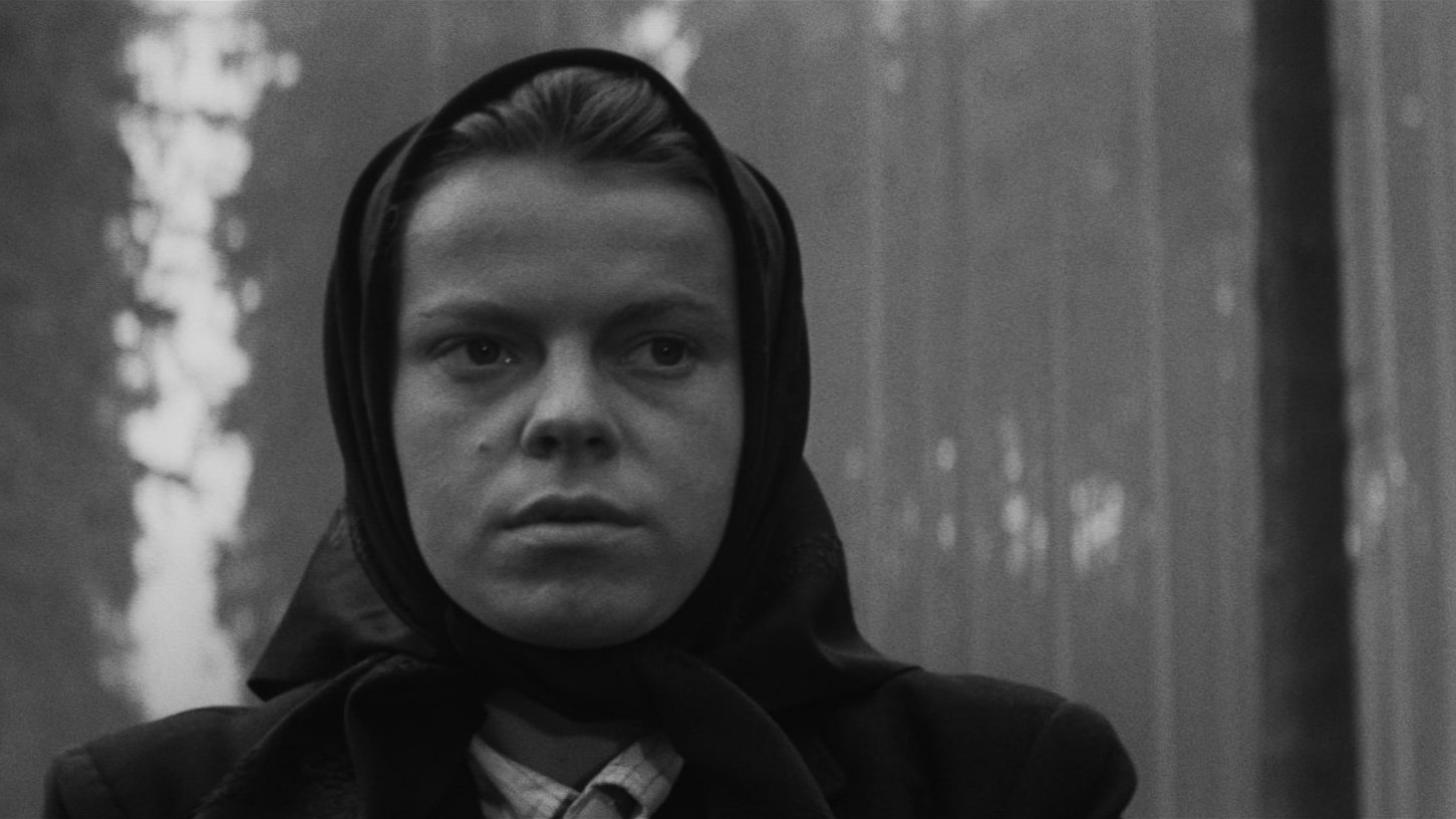 Carriage to Vienna Background