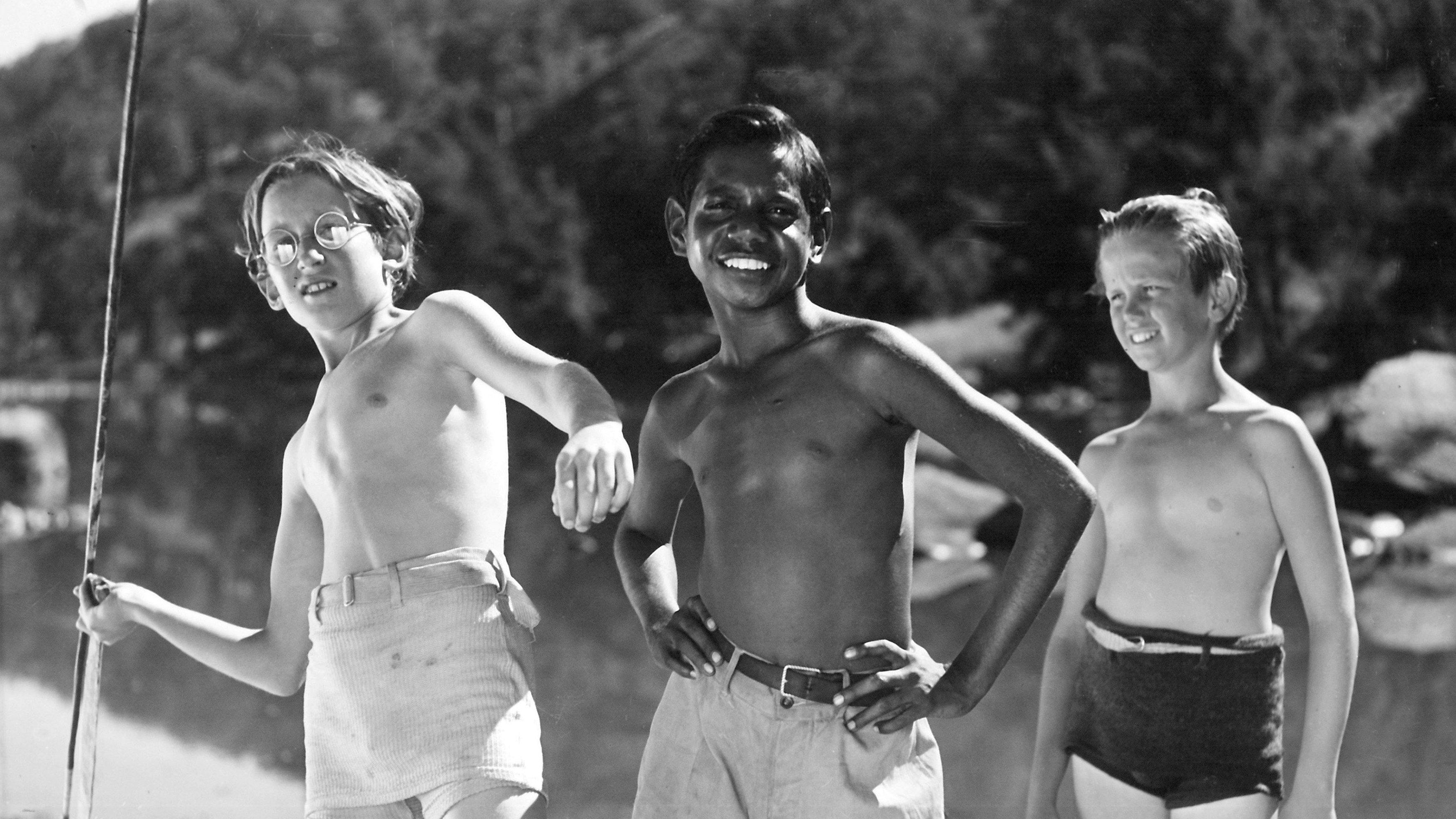 Bush Christmas Background