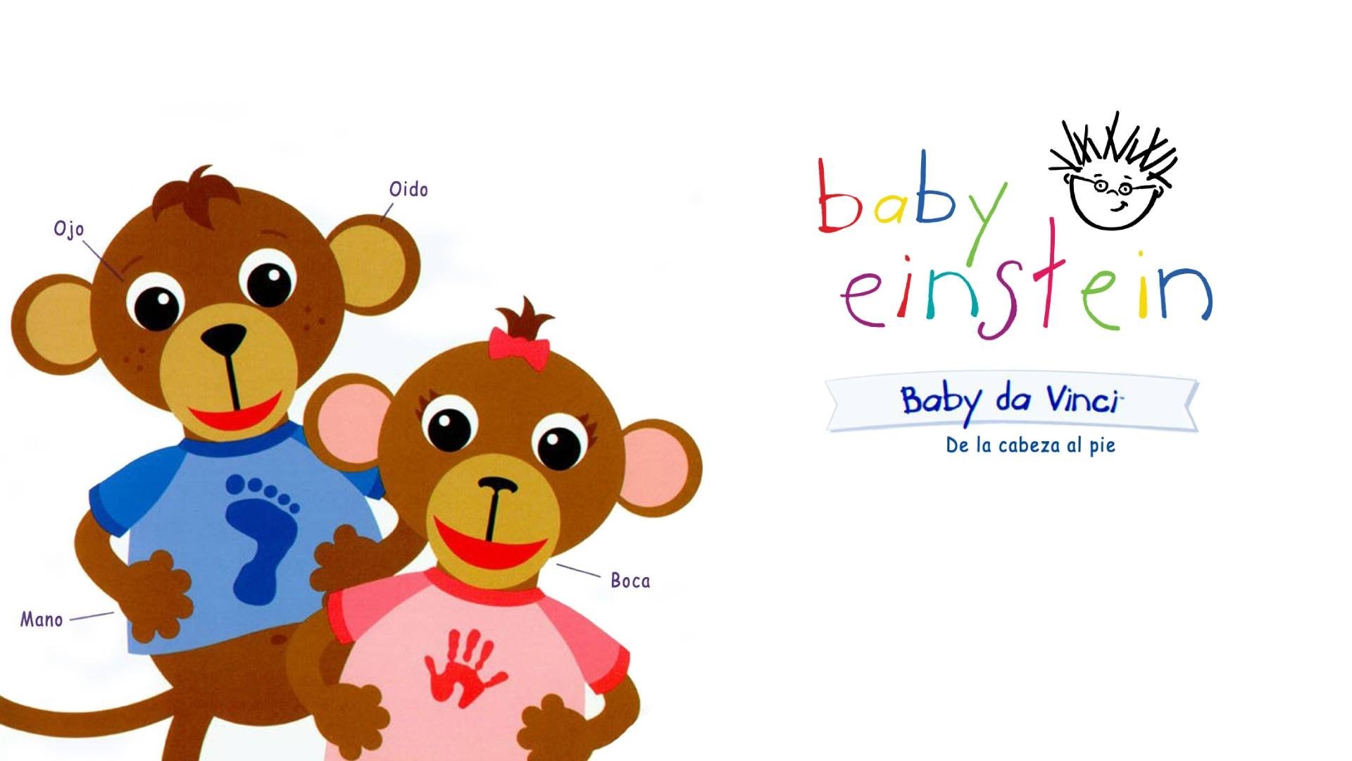 Baby Einstein: Baby Da Vinci - From Head to Toe Background