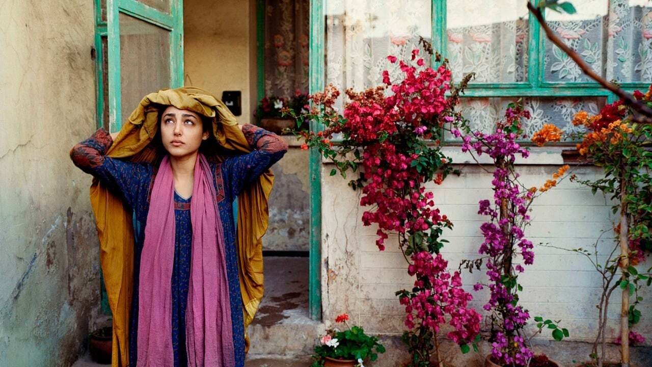 The Patience Stone Background