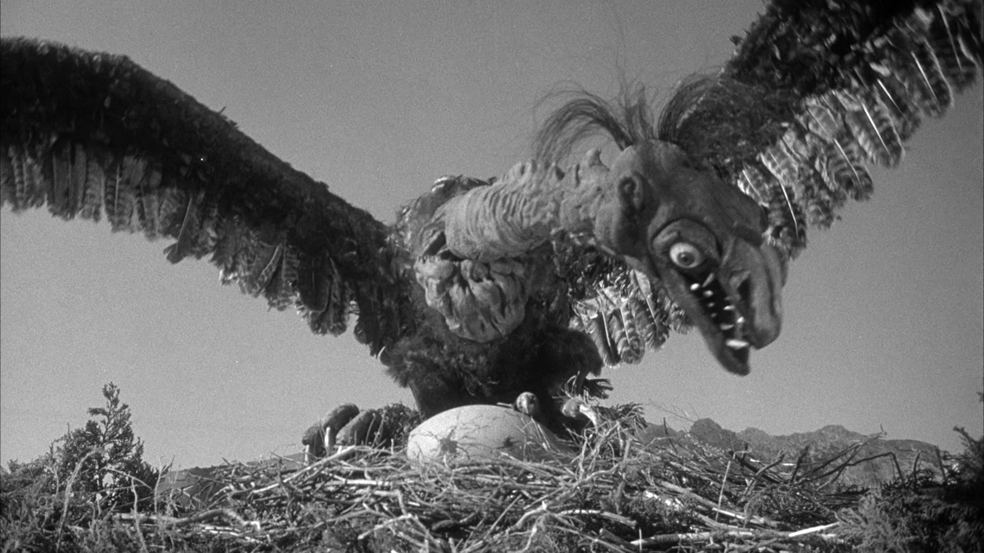 The Giant Claw Background