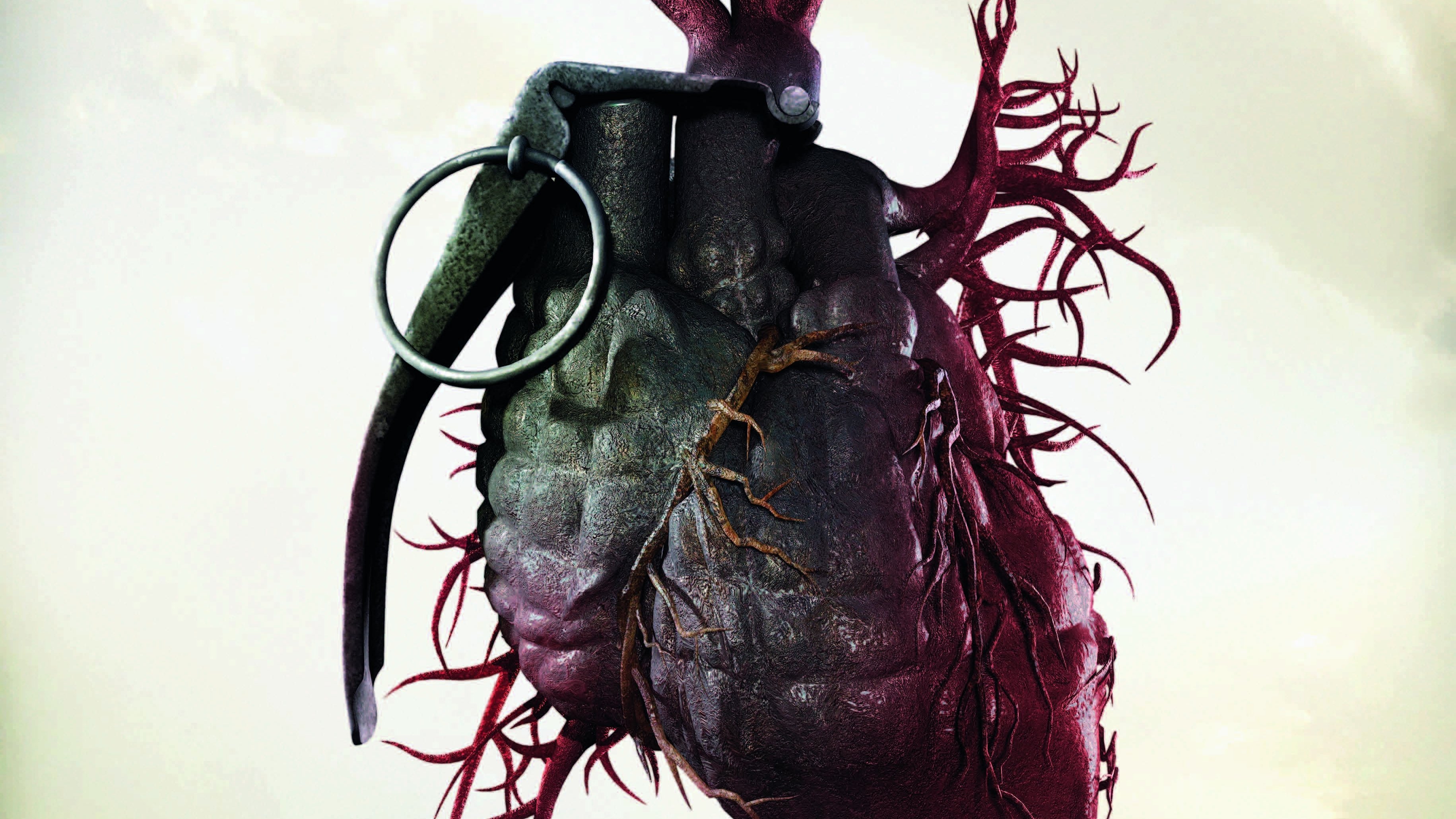 Armadillo Background