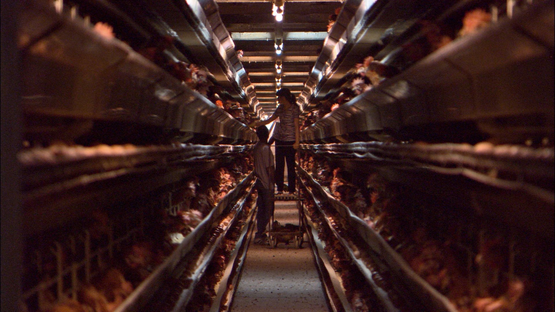 Our Daily Bread Background