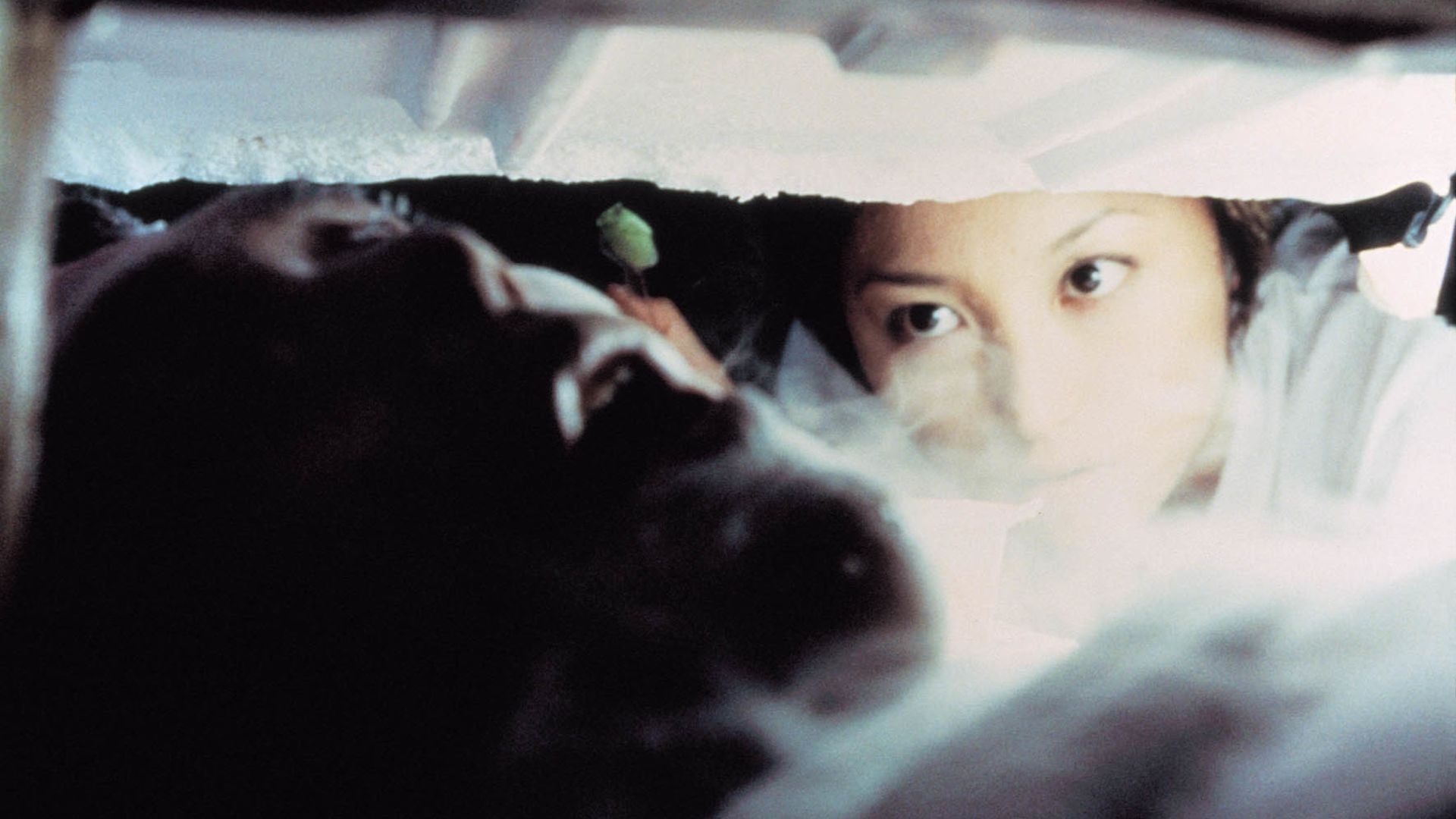 Freeze Me Background