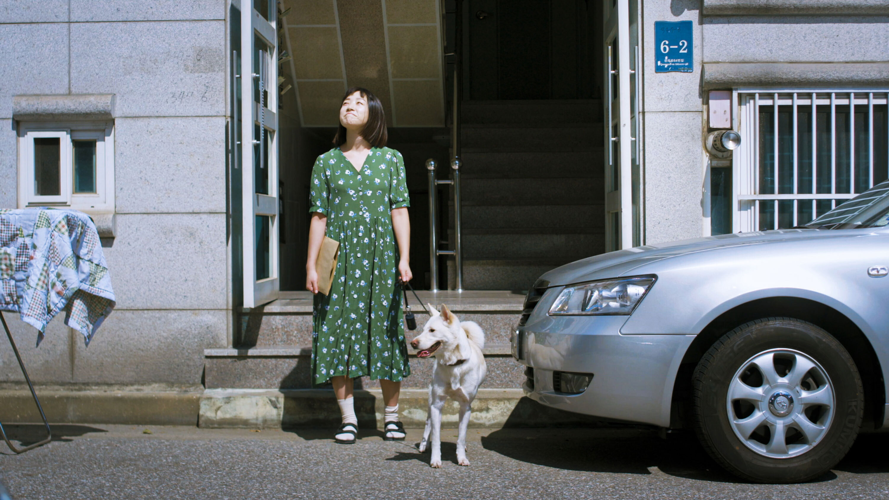 Midsummer Madness Background