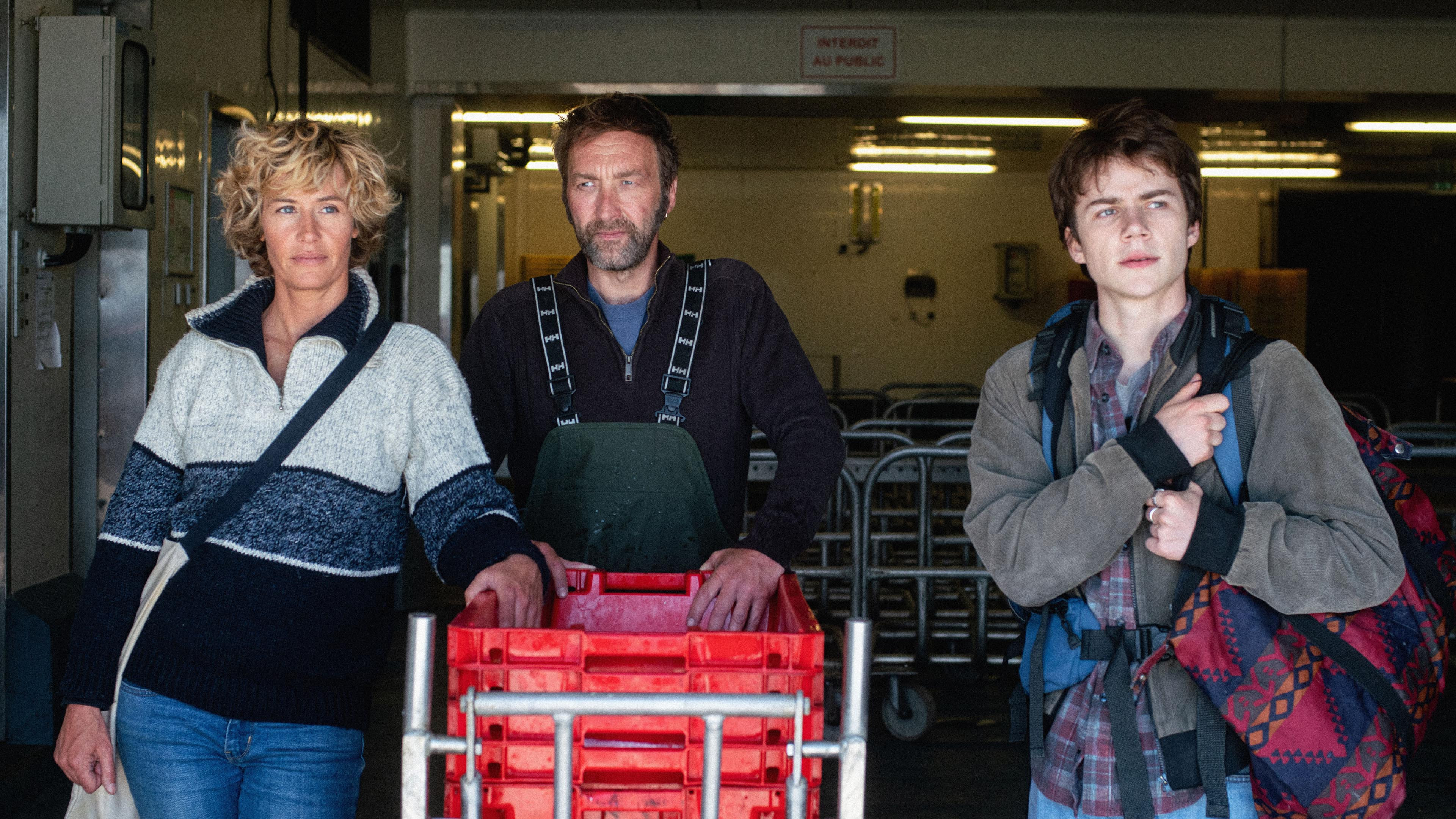 Wild Seas Background