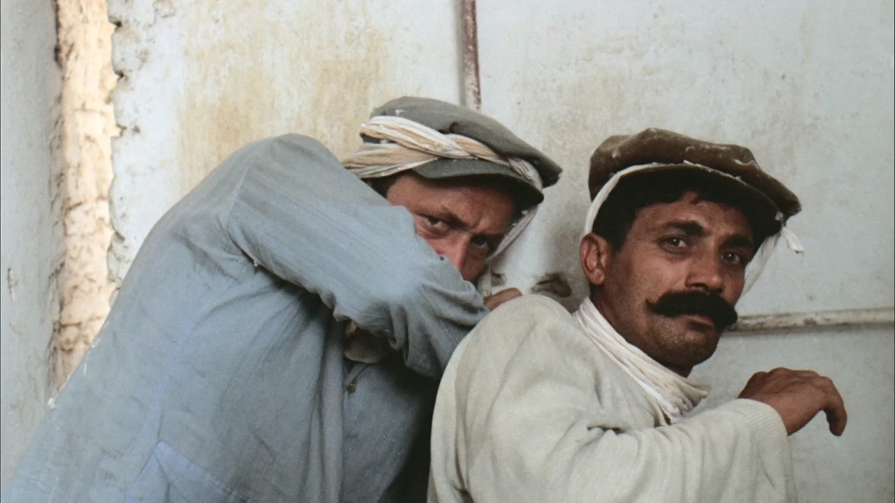 On Fertile Lands Background