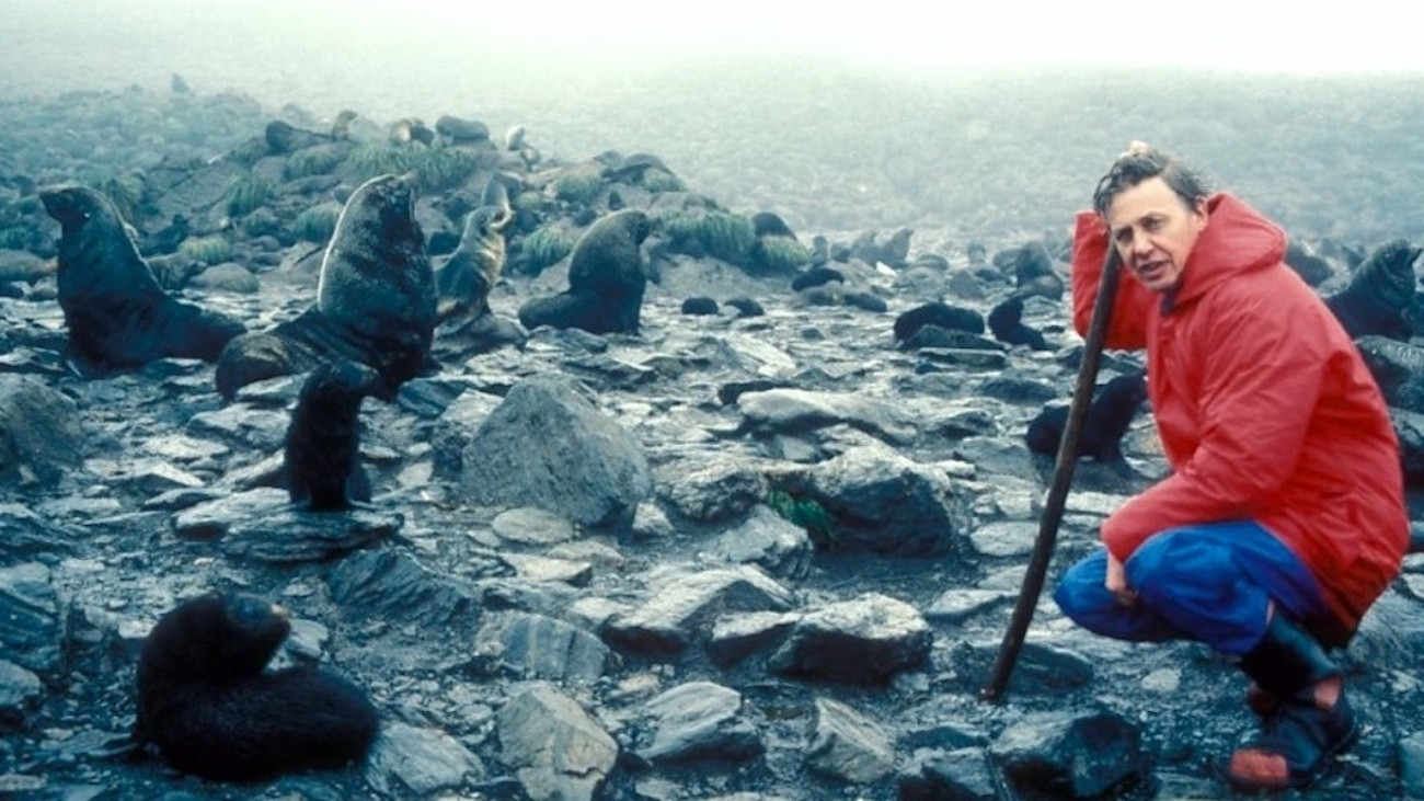 The Living Planet Background