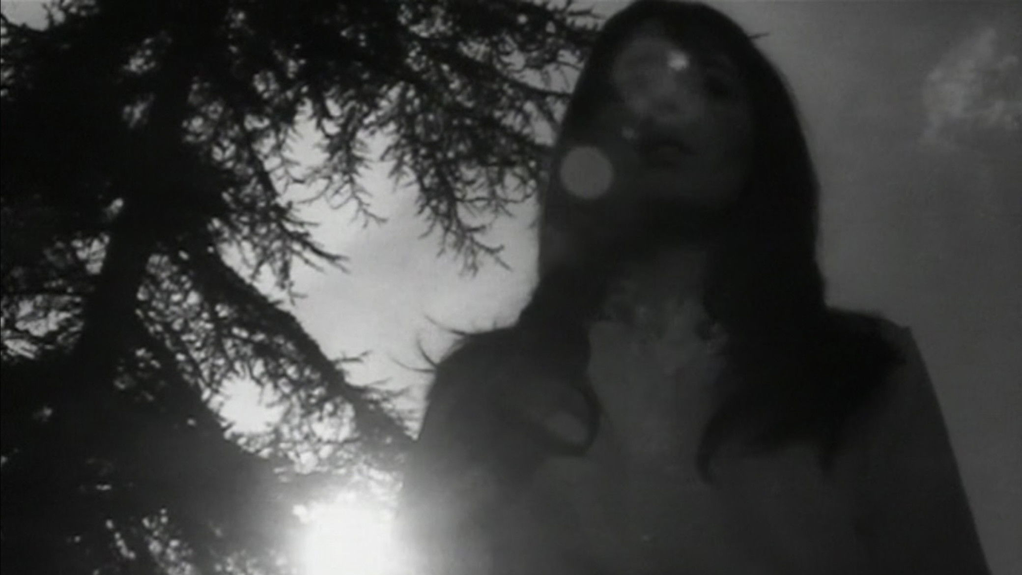 Destroy, She Said Background