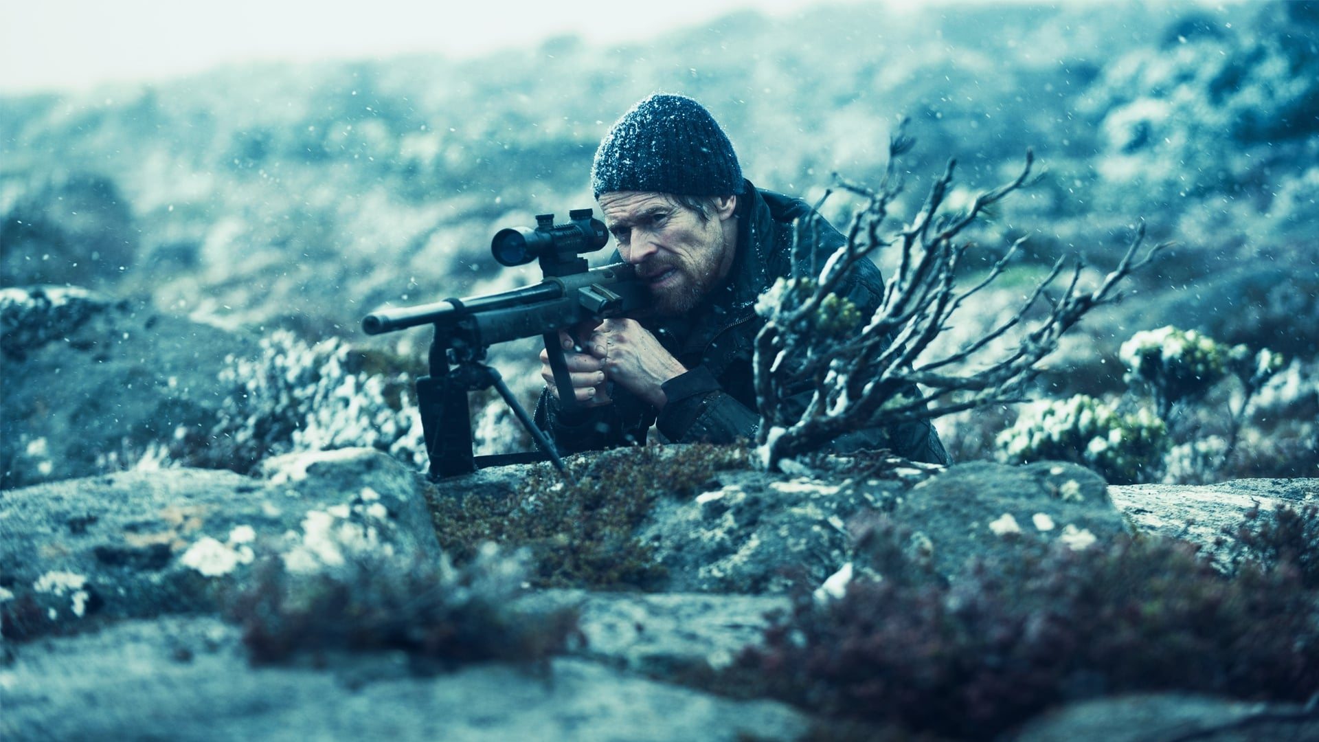 The Hunter Background