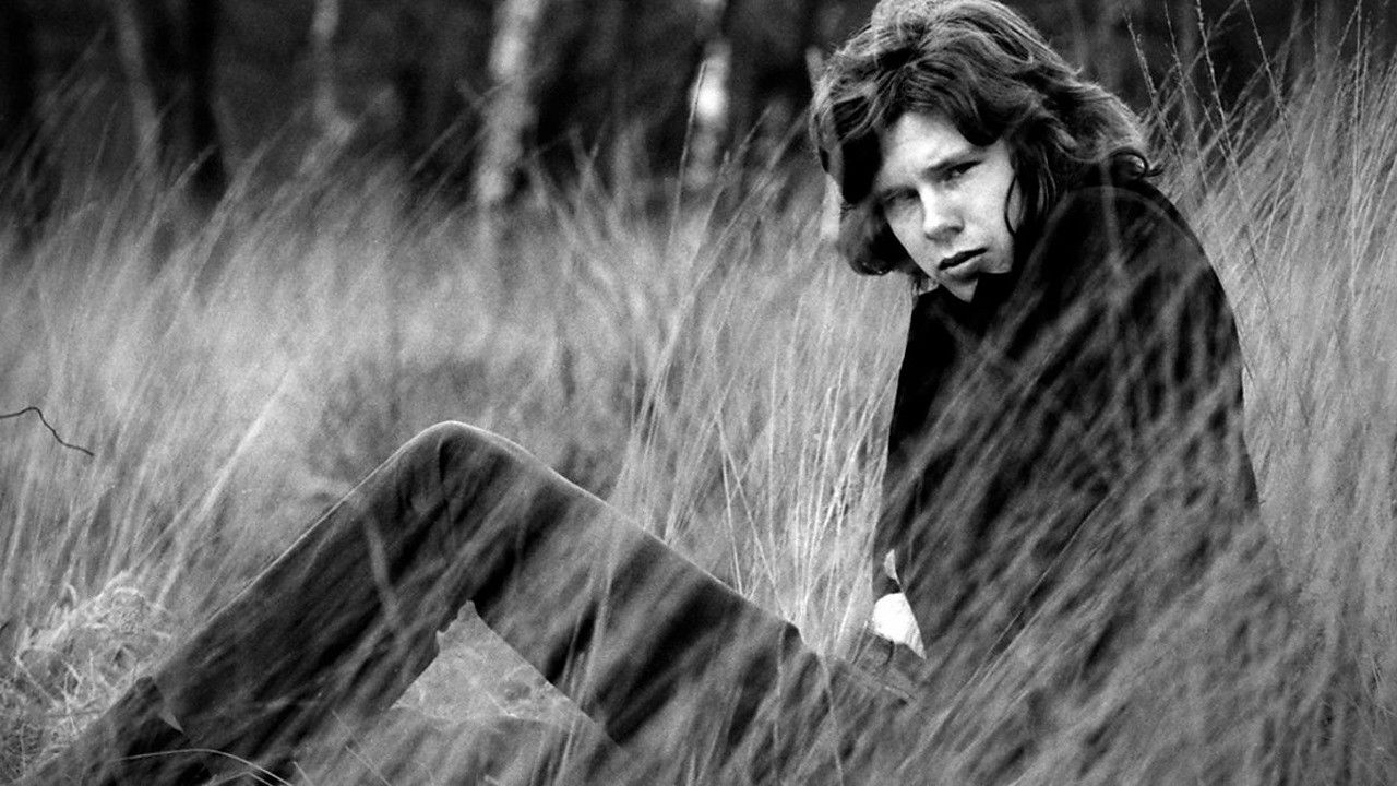 A Skin Too Few: The Days of Nick Drake Background