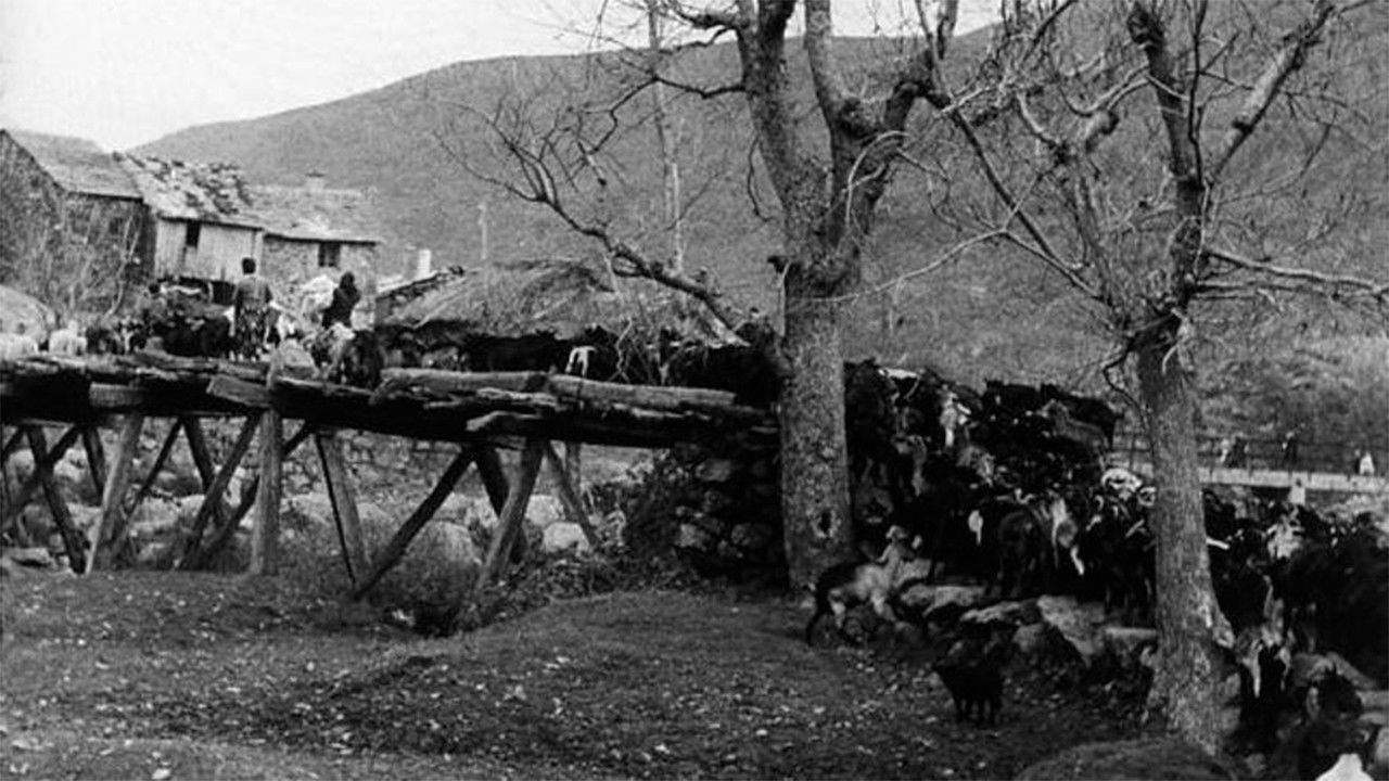 Carta de Sanabria Background