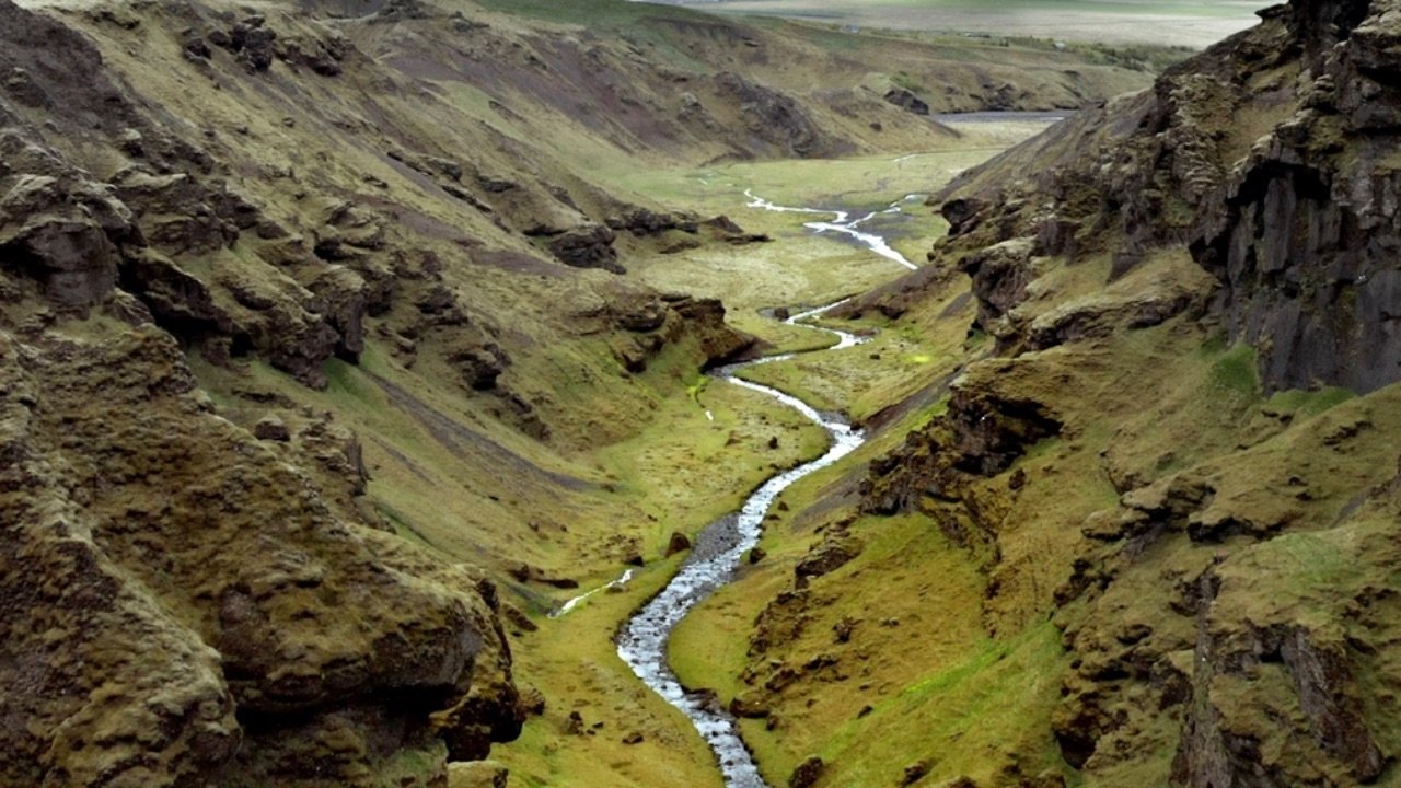 Terre, Les Forces du Vivant Background