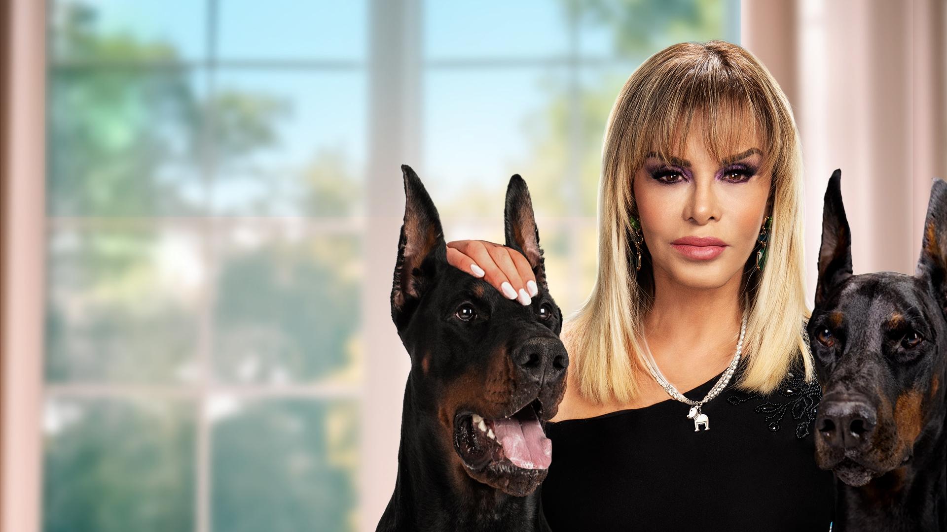 Mejor viuda que mal acompañada Background