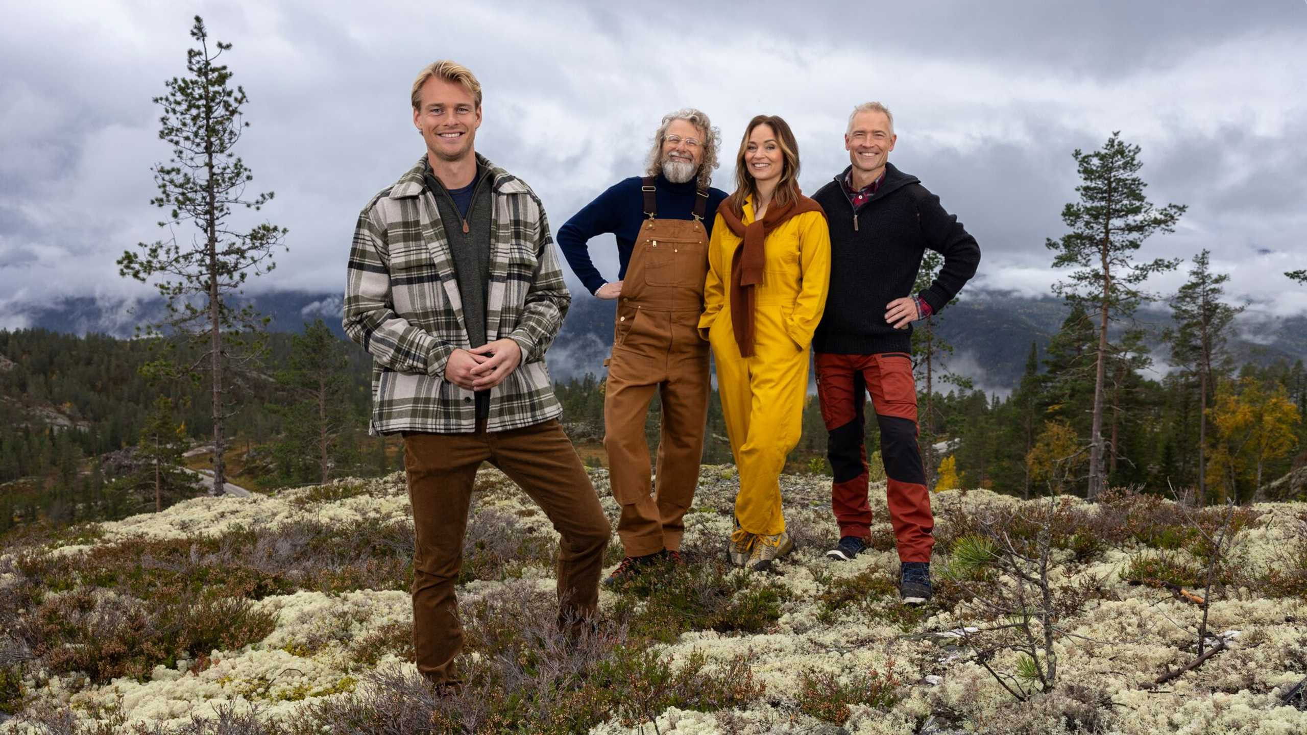 Fjellhytta Background