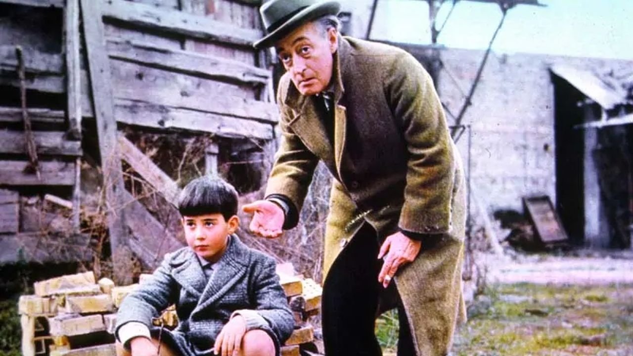 Toto and Marcellino Background