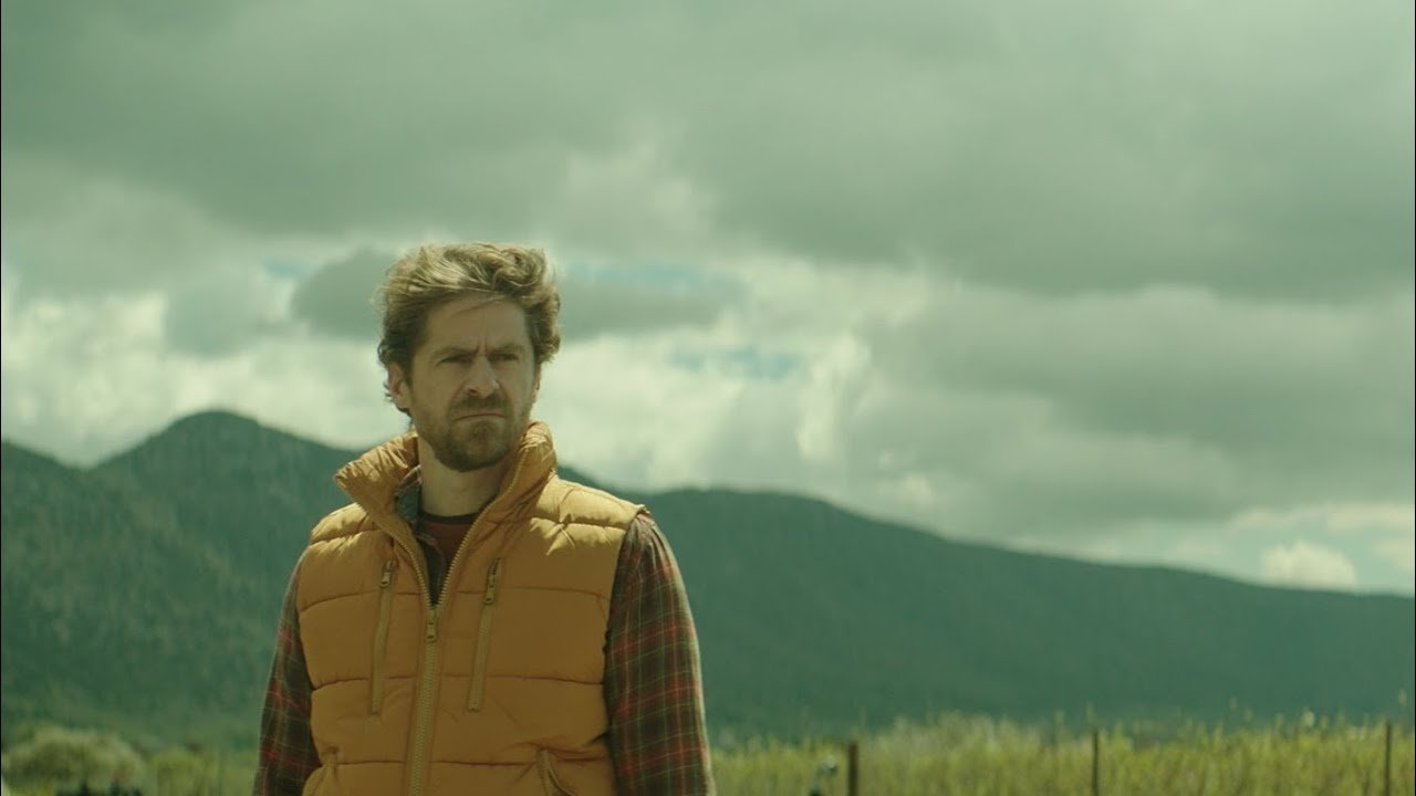 Pack of Sheep Background