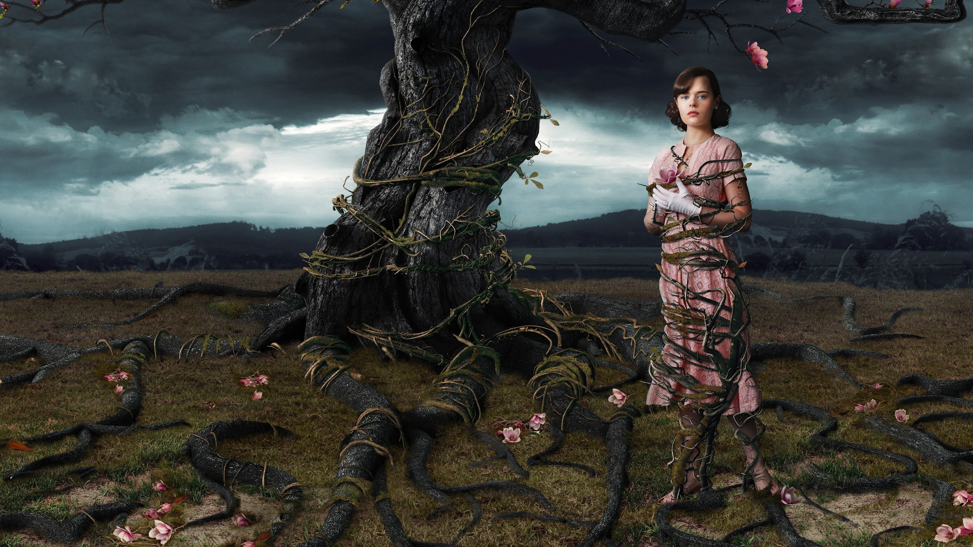 Web of Dreams Background